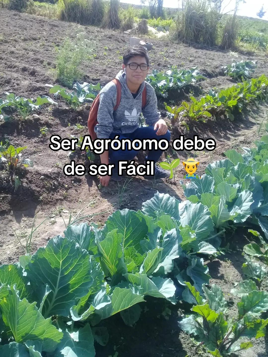 @@luisito YT