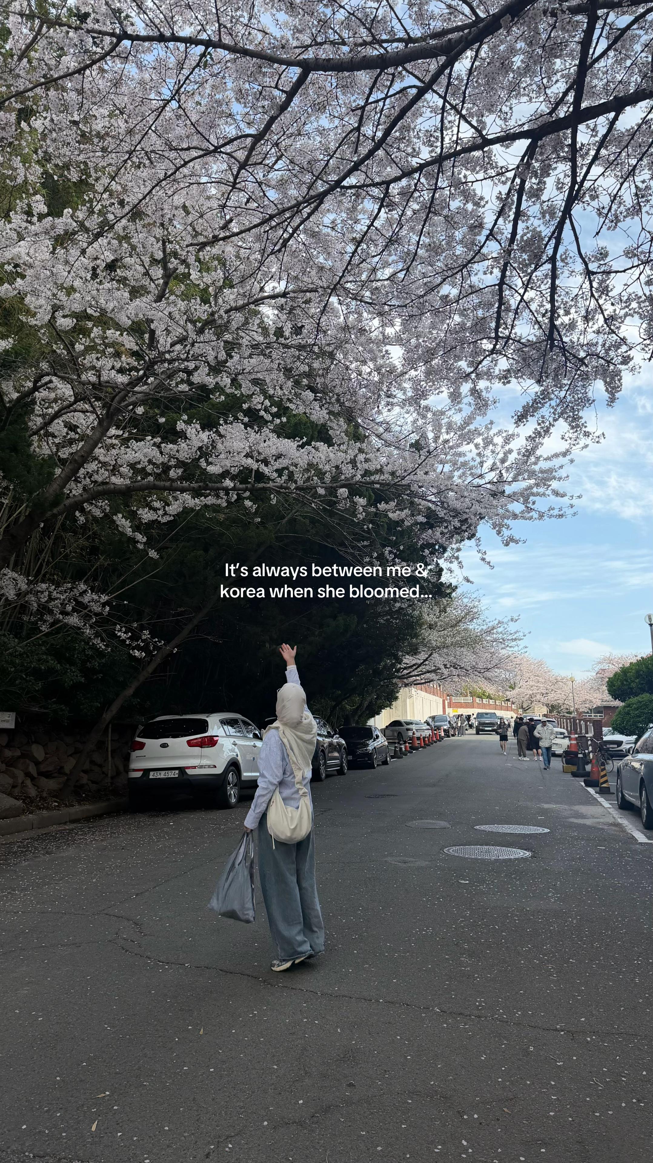 @cz🌷