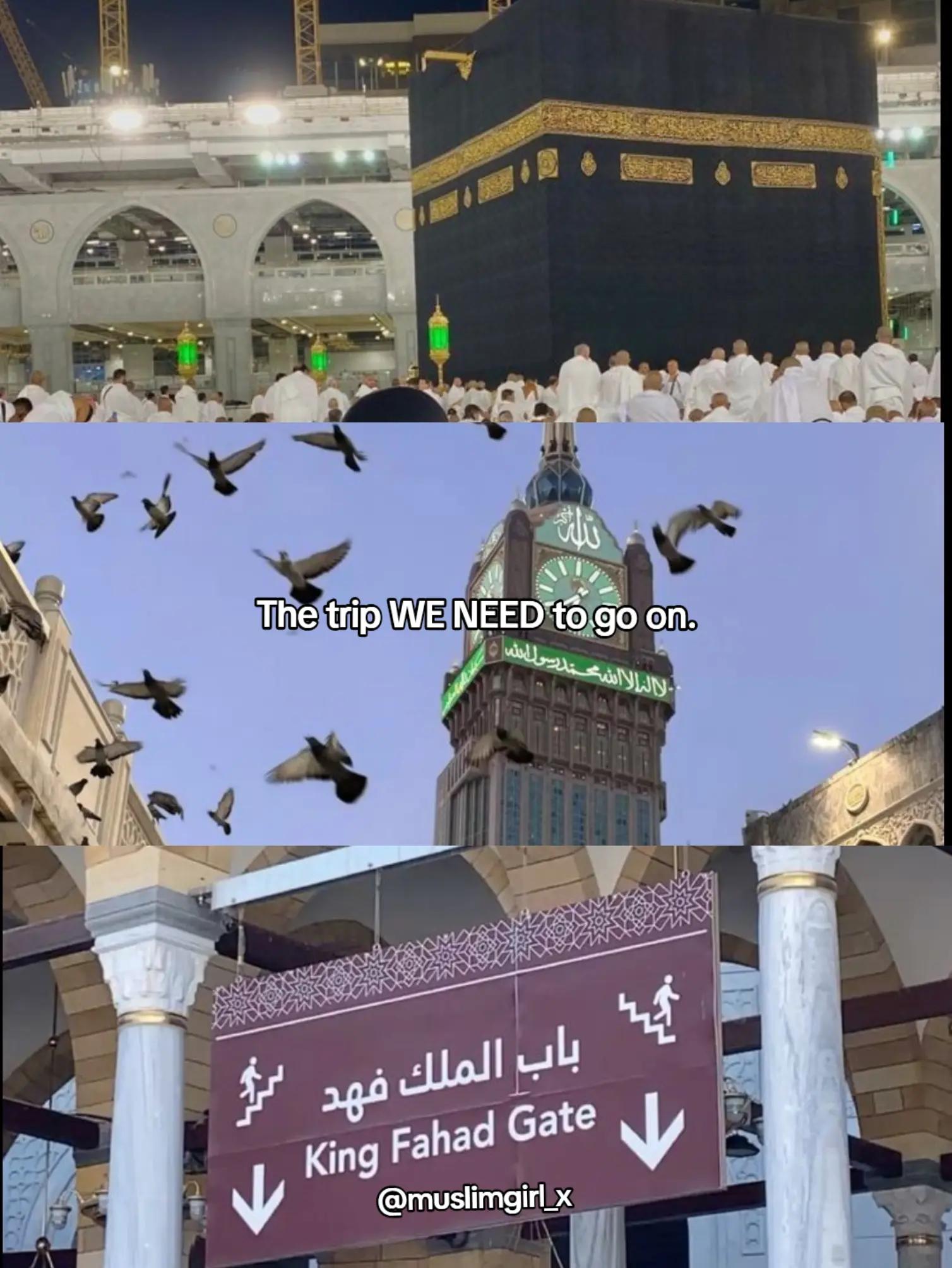 @Islamic Reminders 🤍🌹