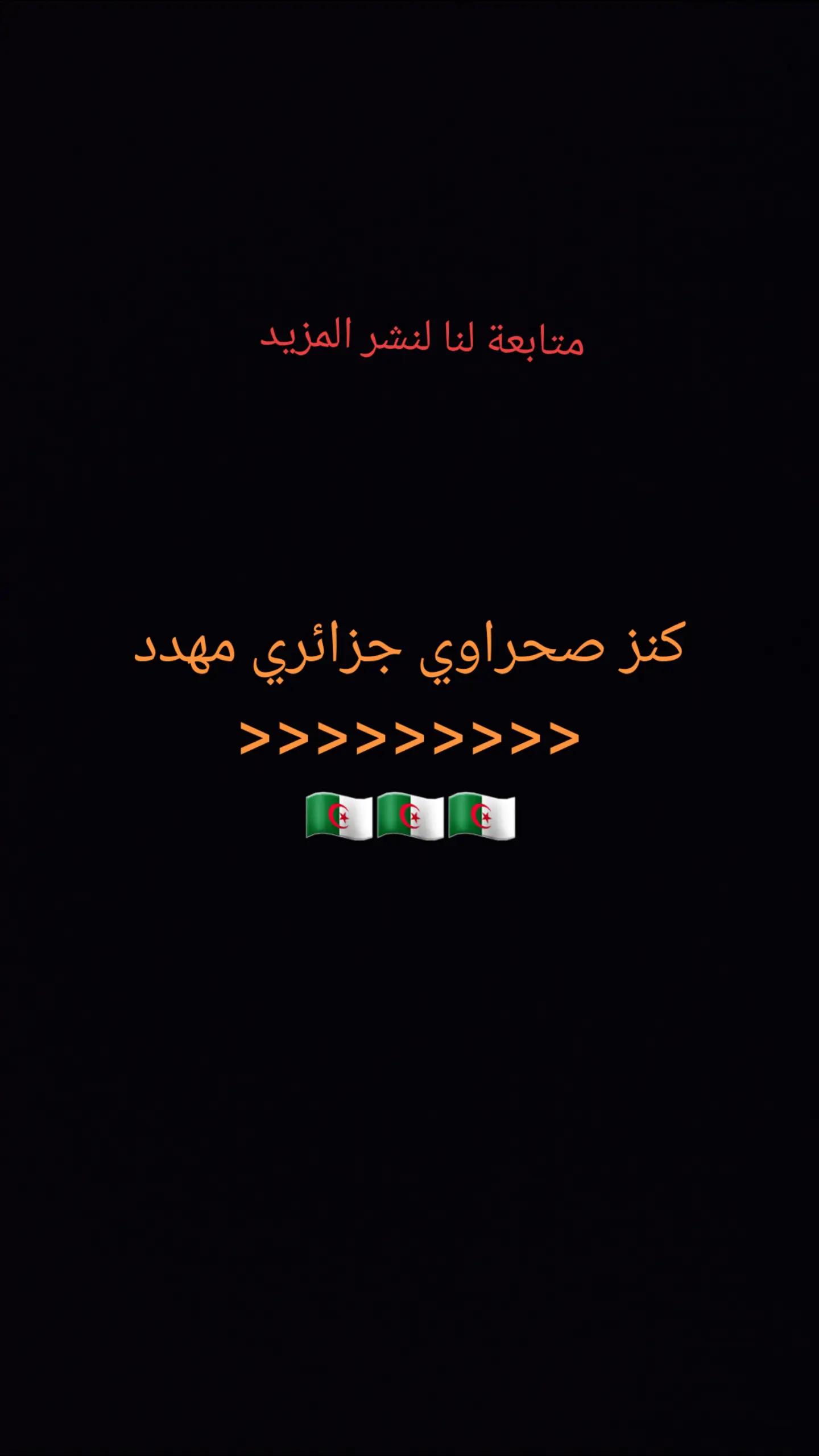 @ramziaouadj93
