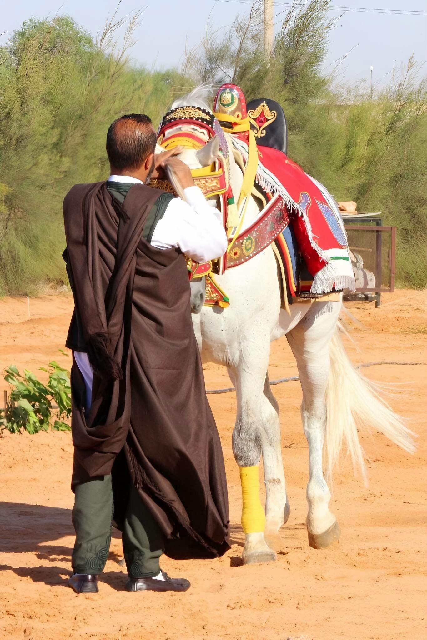 @حبيب اجويبر