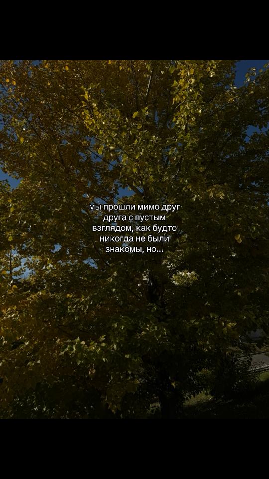 @🫶🏻
