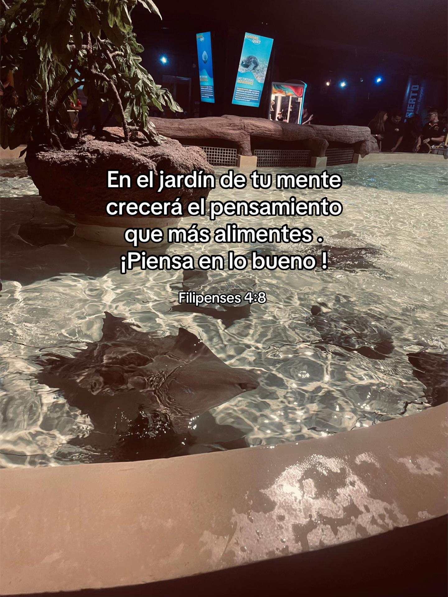 @Lau✨