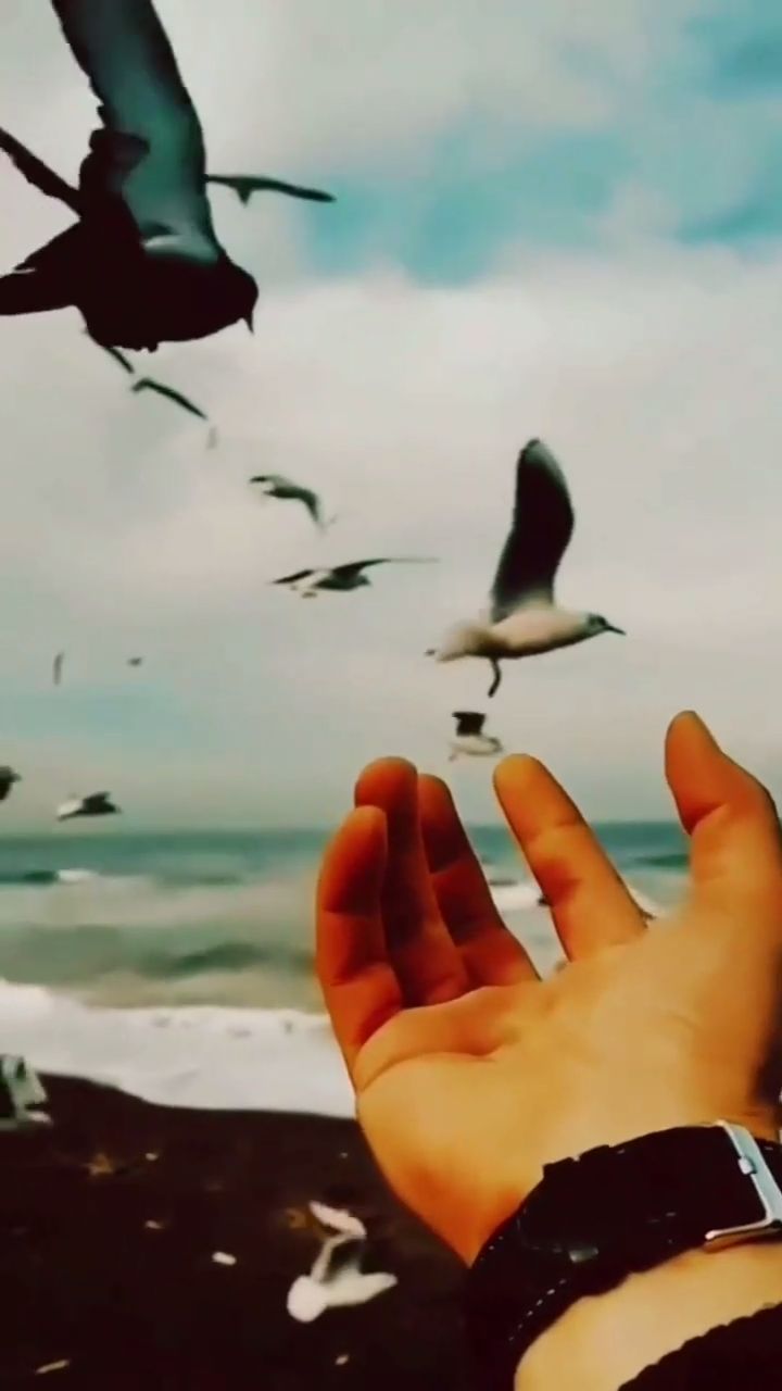 @dertli videoların kanalı ❤️🔥