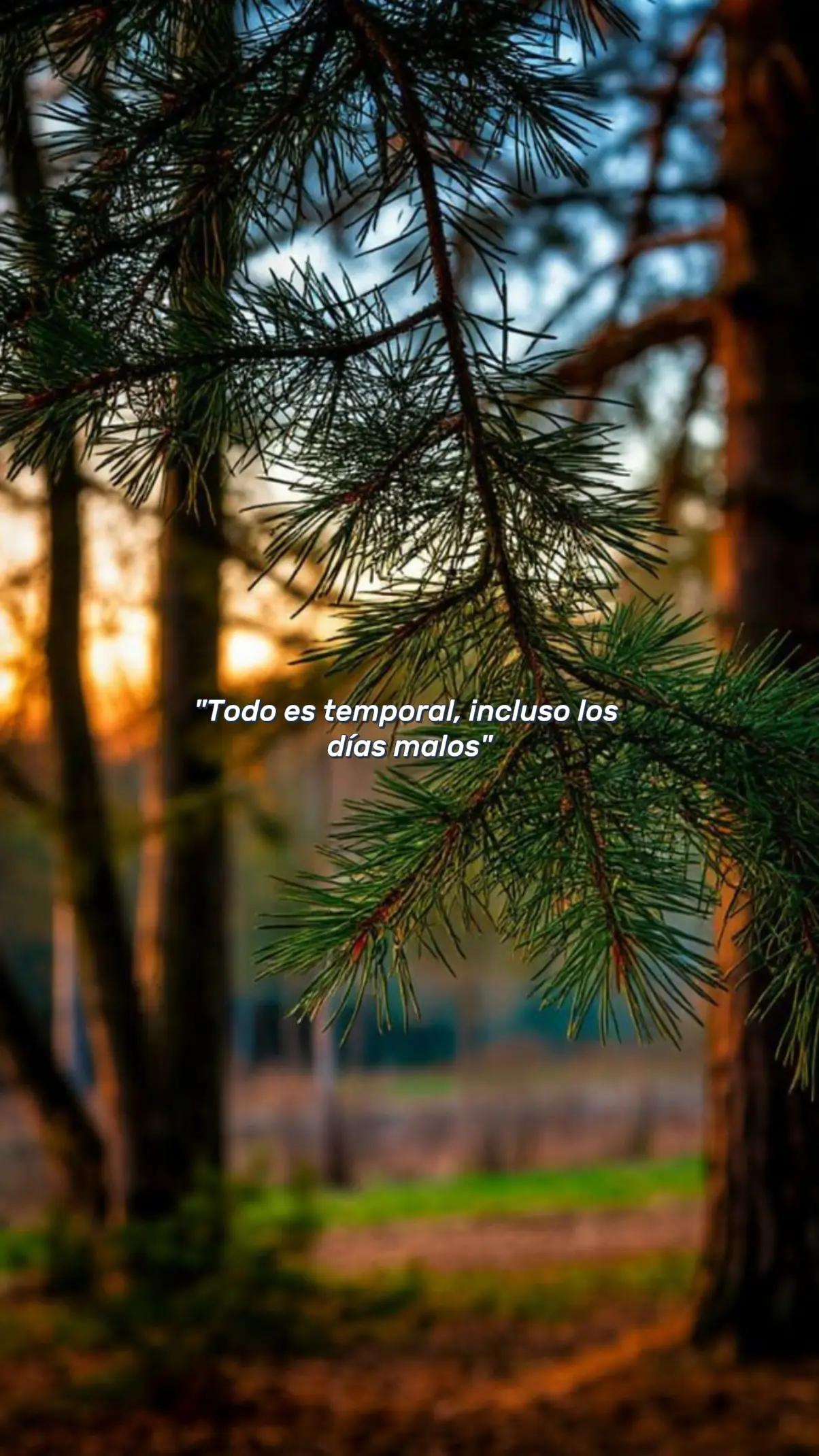 @Jeimy Reyes