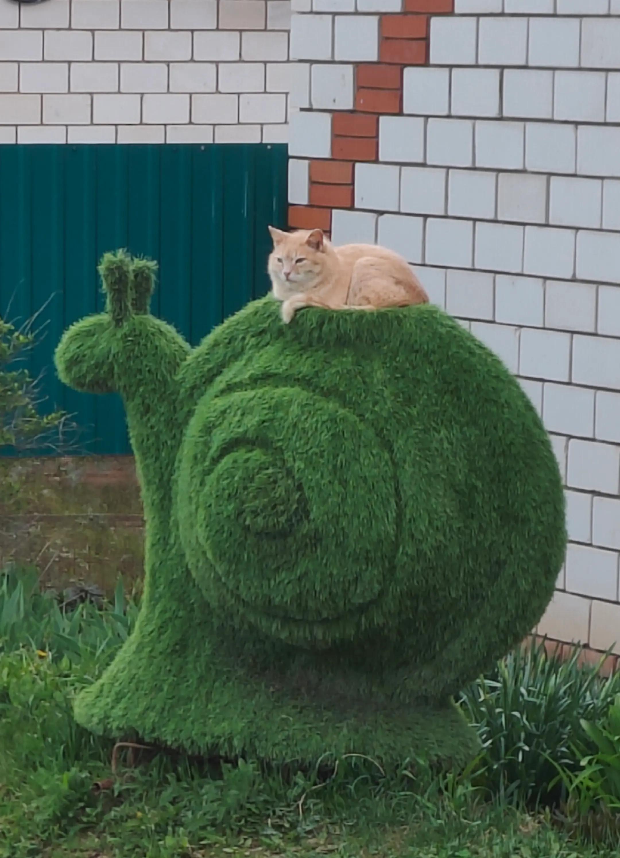 @дочь кабана