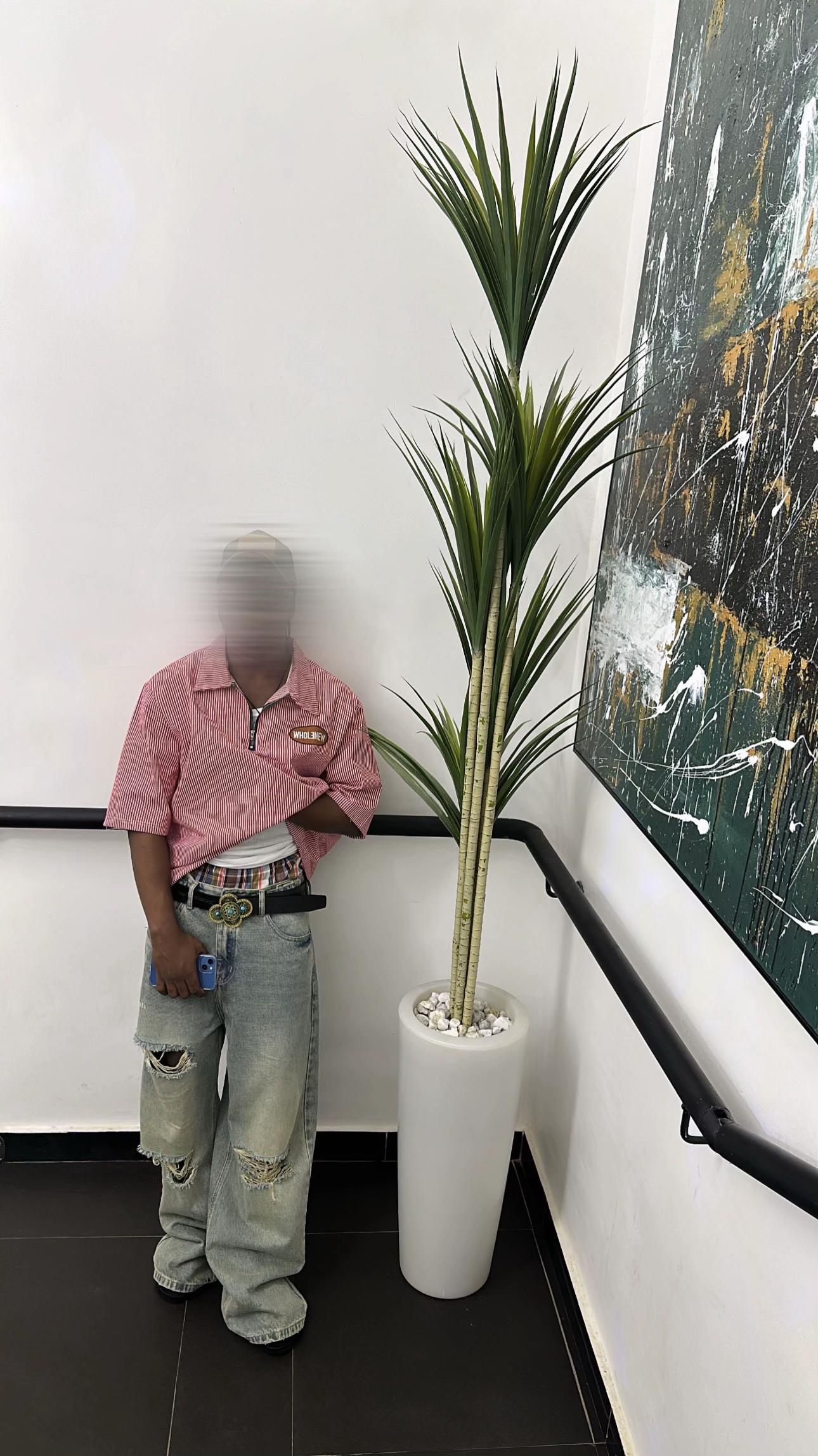 @< ŇÊYœŽY>