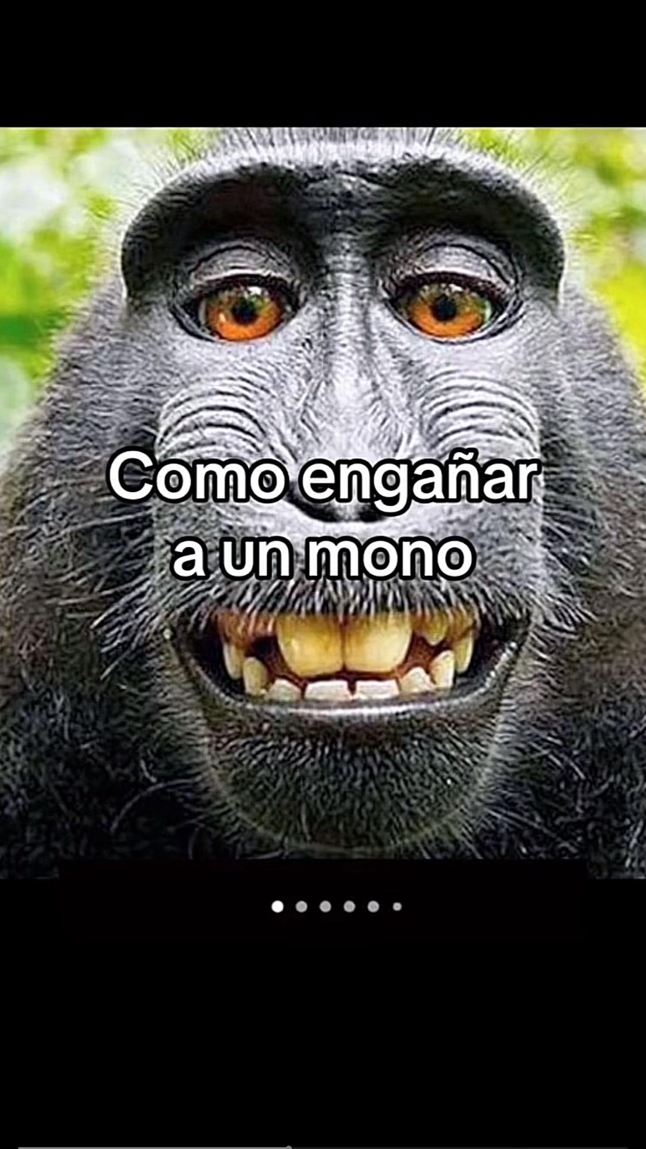@calla y ve a ver tiktok 🎉