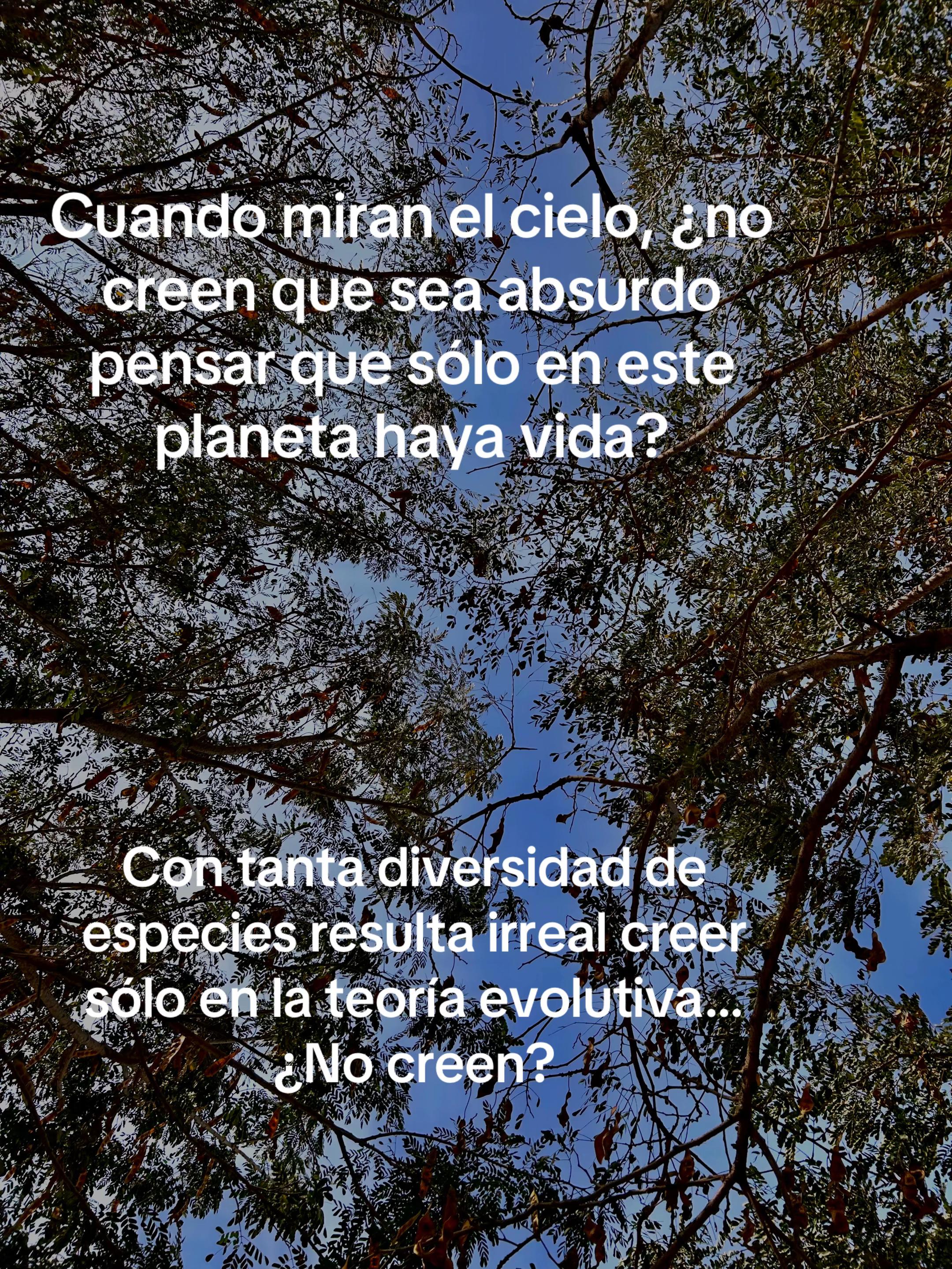 @iamnoelsolano