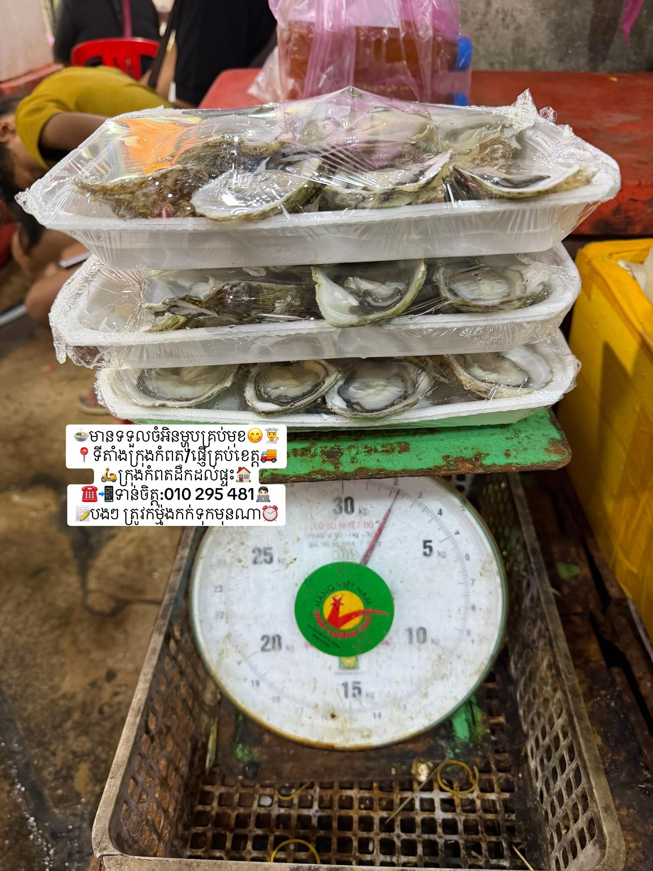 @កំពតគ្រឿងសមុទ្រ