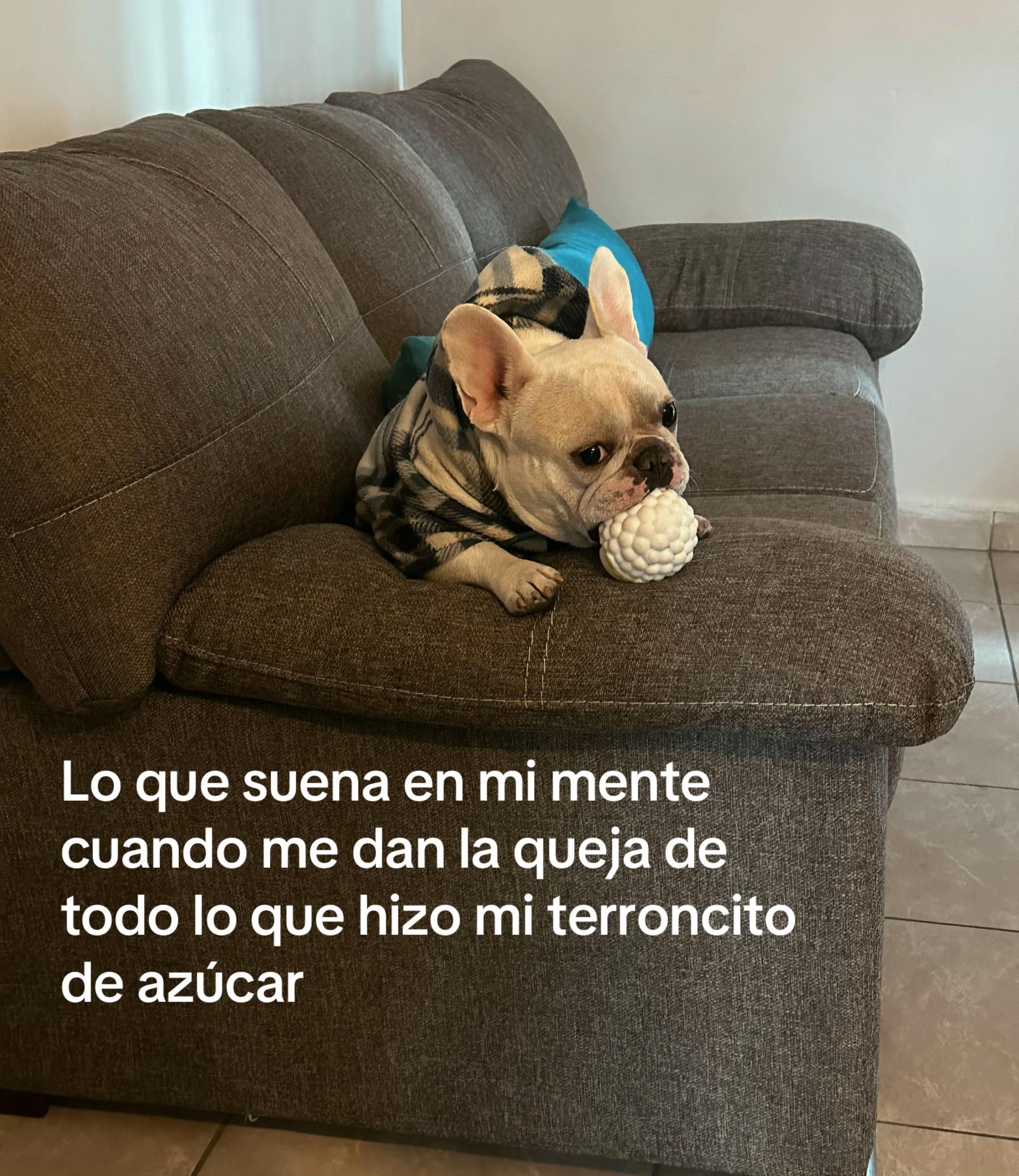 @Marianaa HL🎀