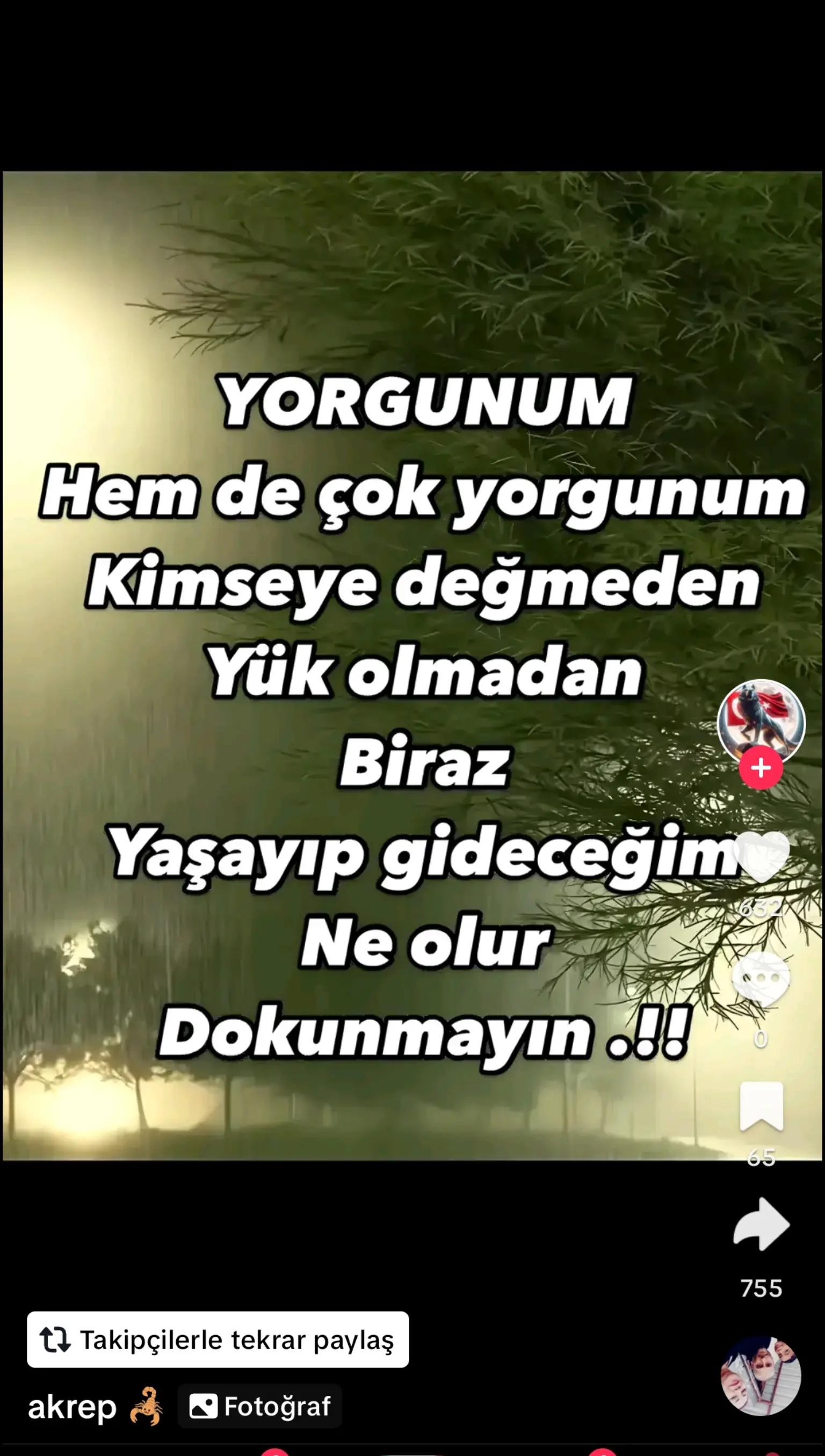 @Mustafa efelimm