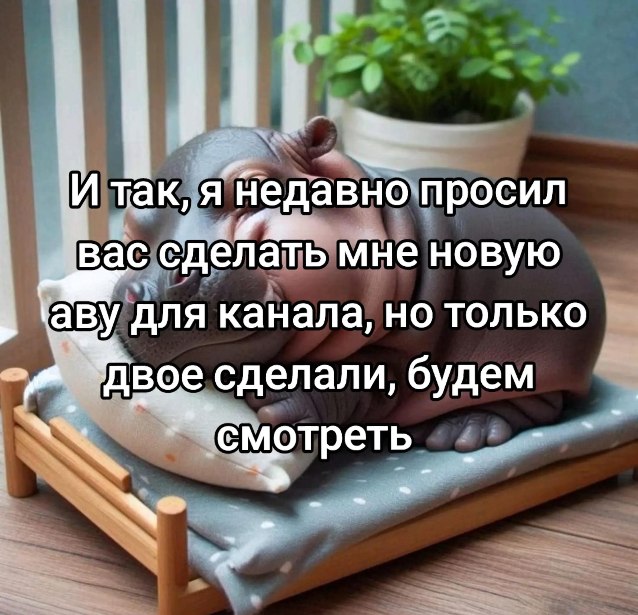 @Magrex