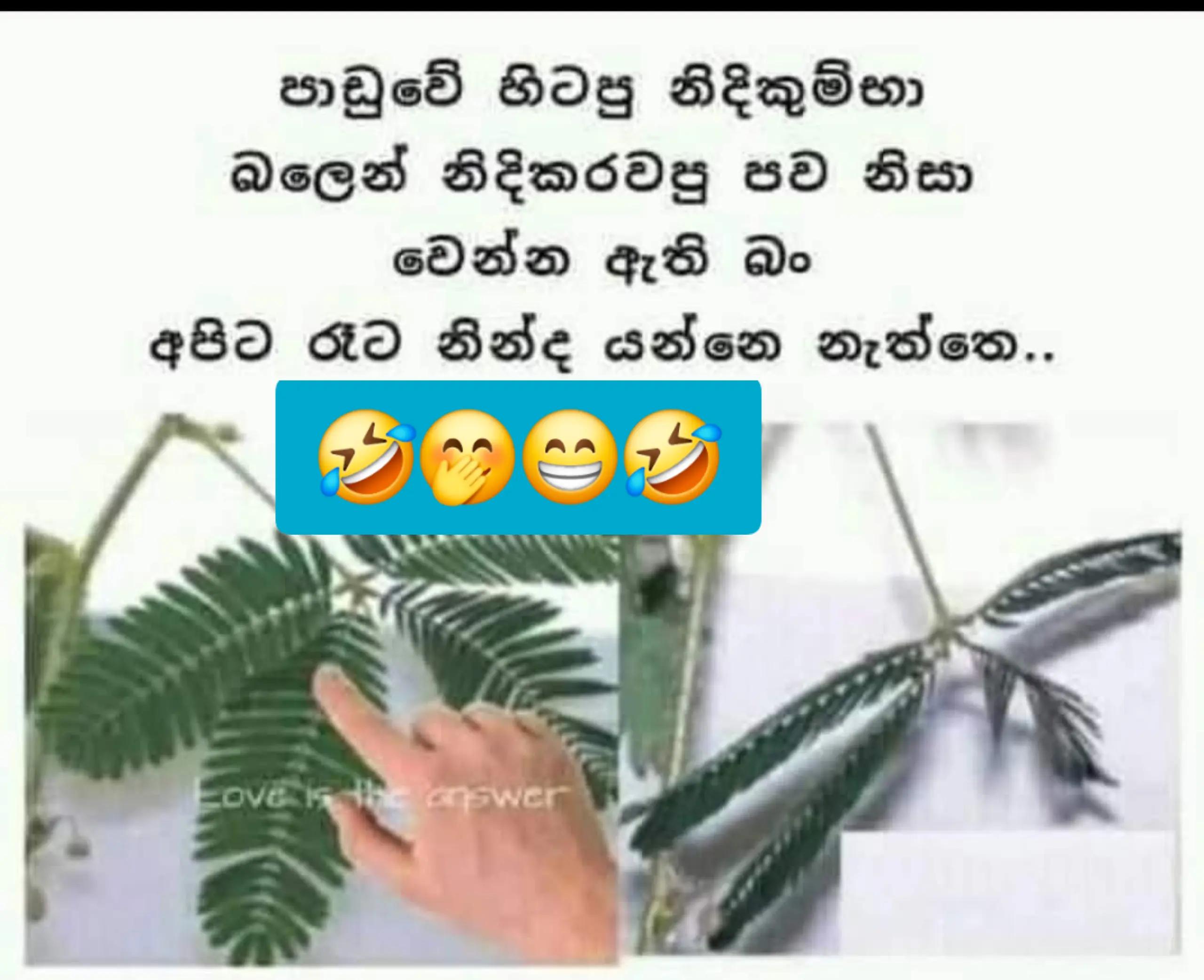 @Nilu Ranaweera 🇬🇧🇱🇰