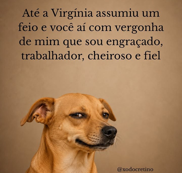 @MARCOS 🤑