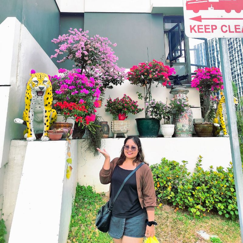 @Fei Fei 🇲🇲🇸🇬