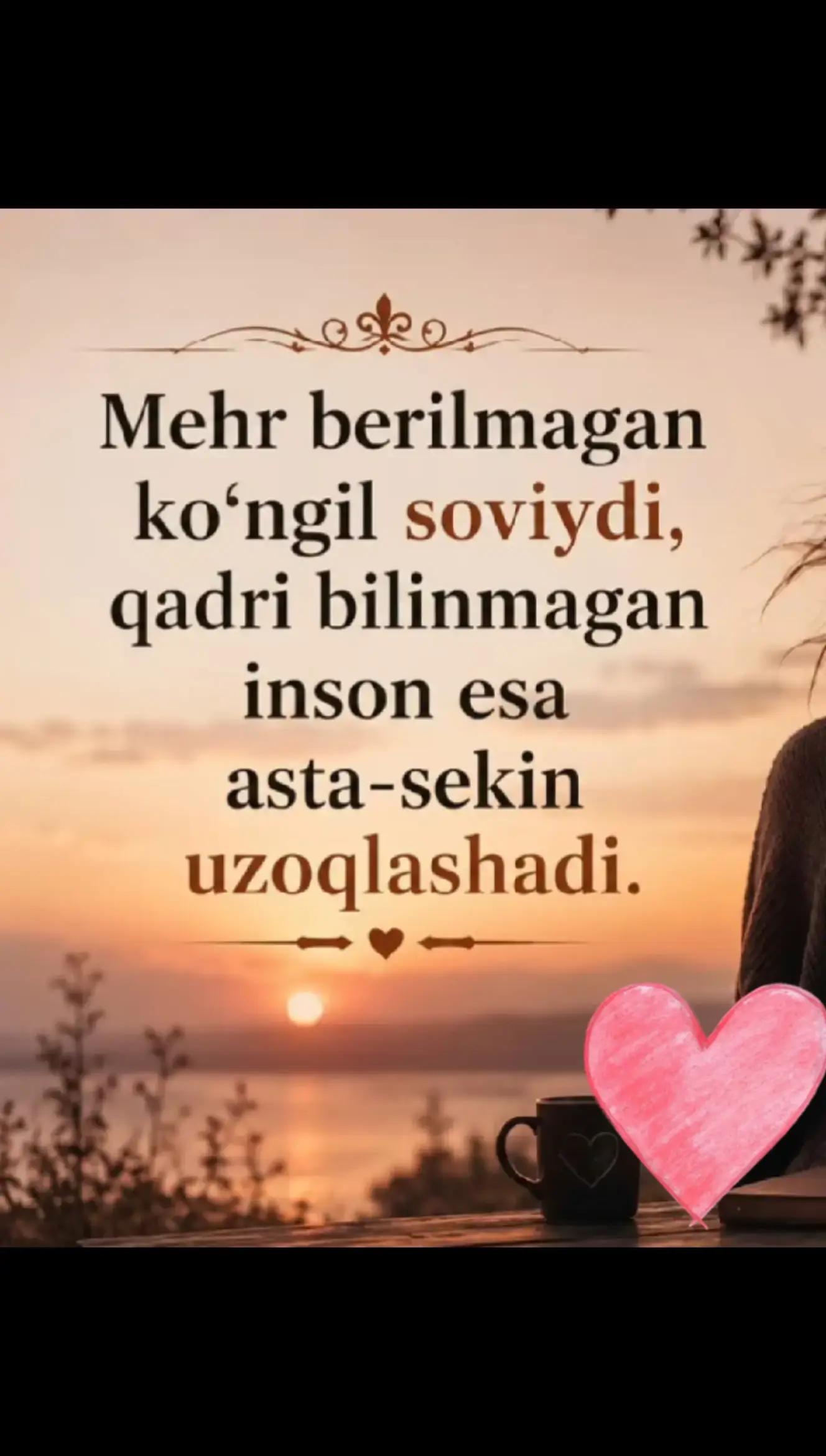 @BASIDA