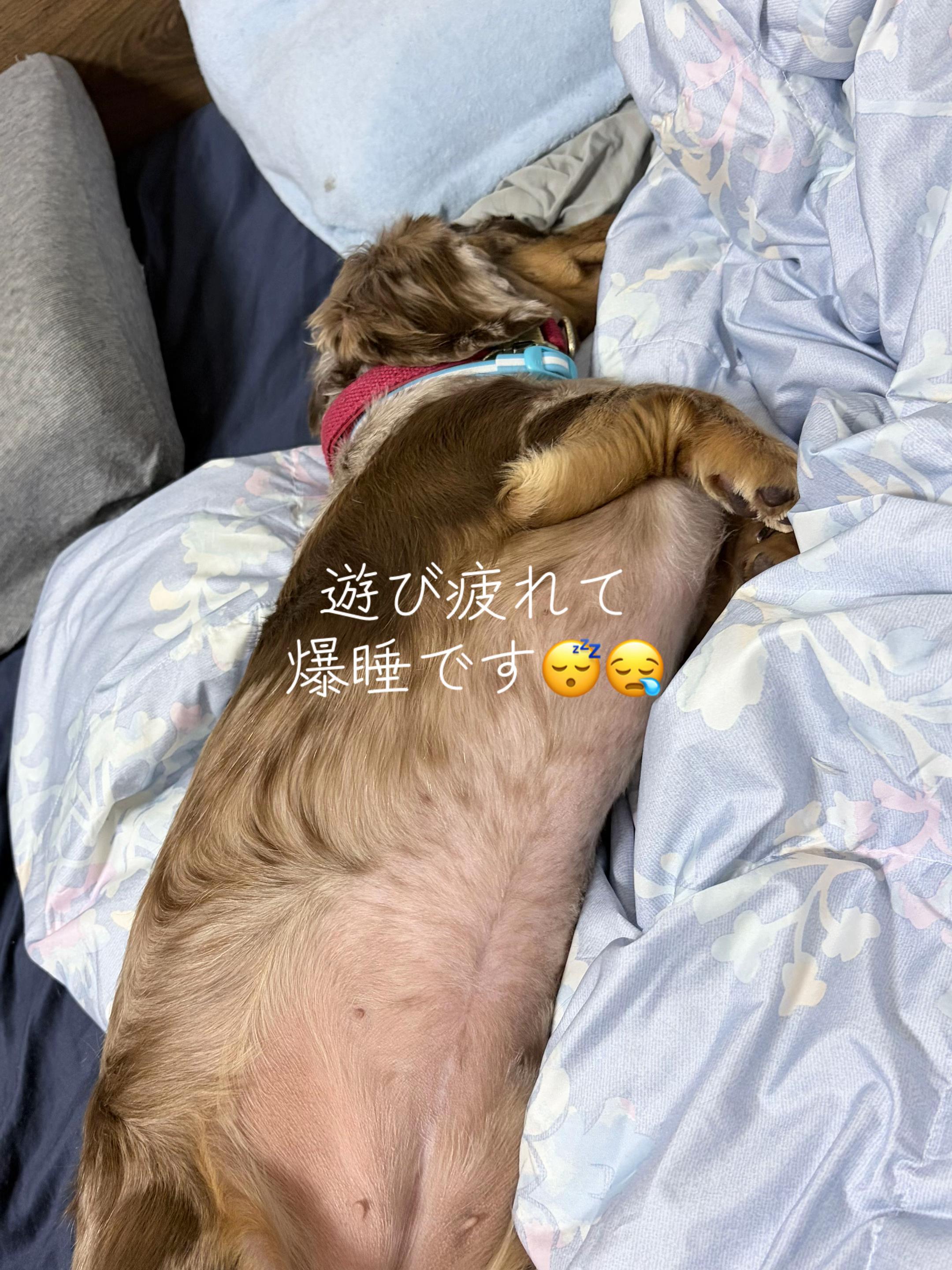@ケン