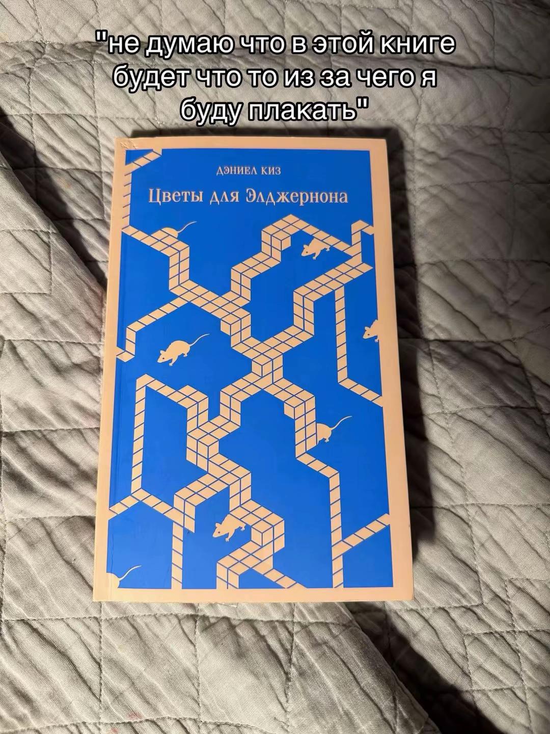 @книжная тётя