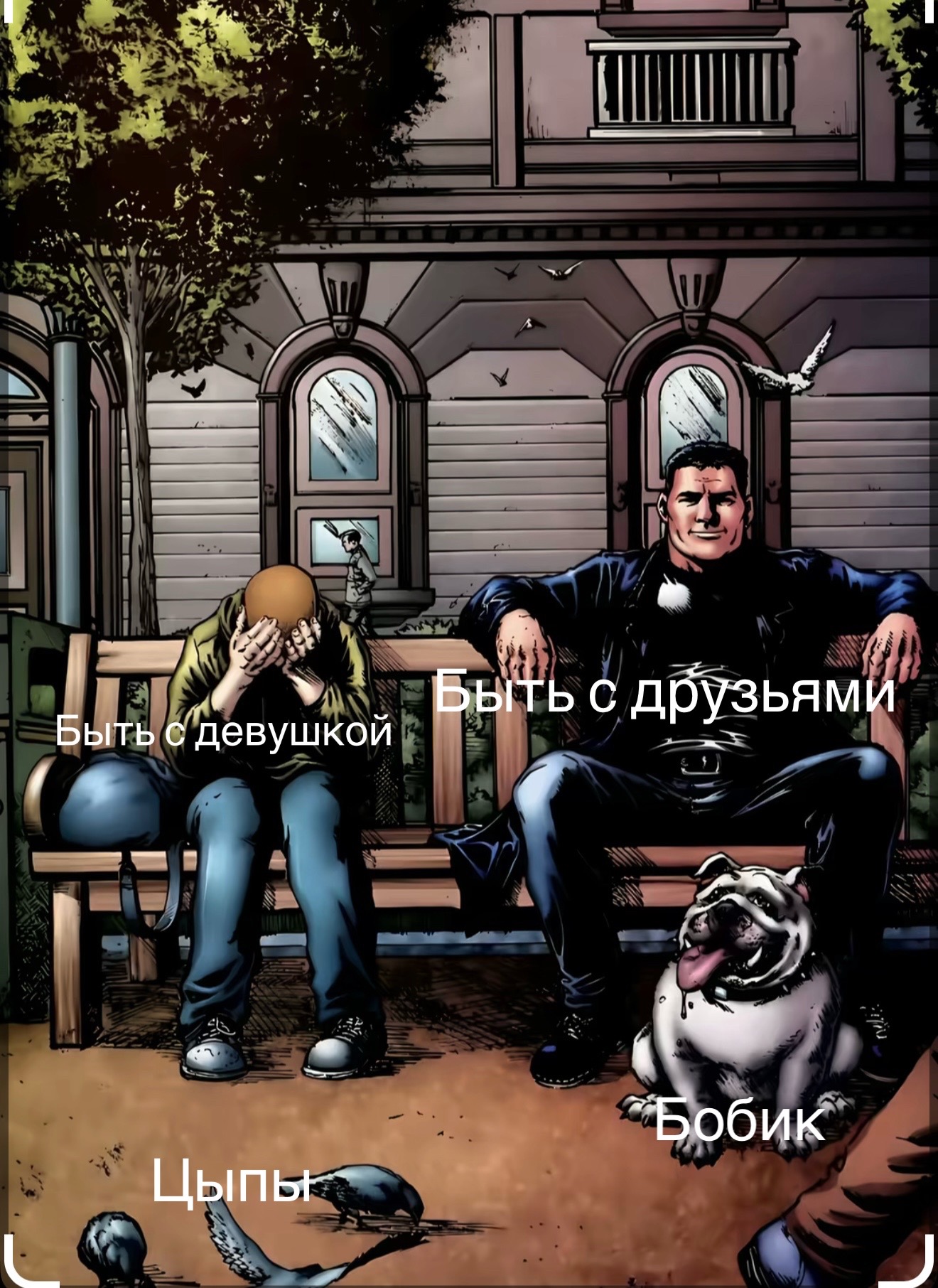 @VanDragoXX