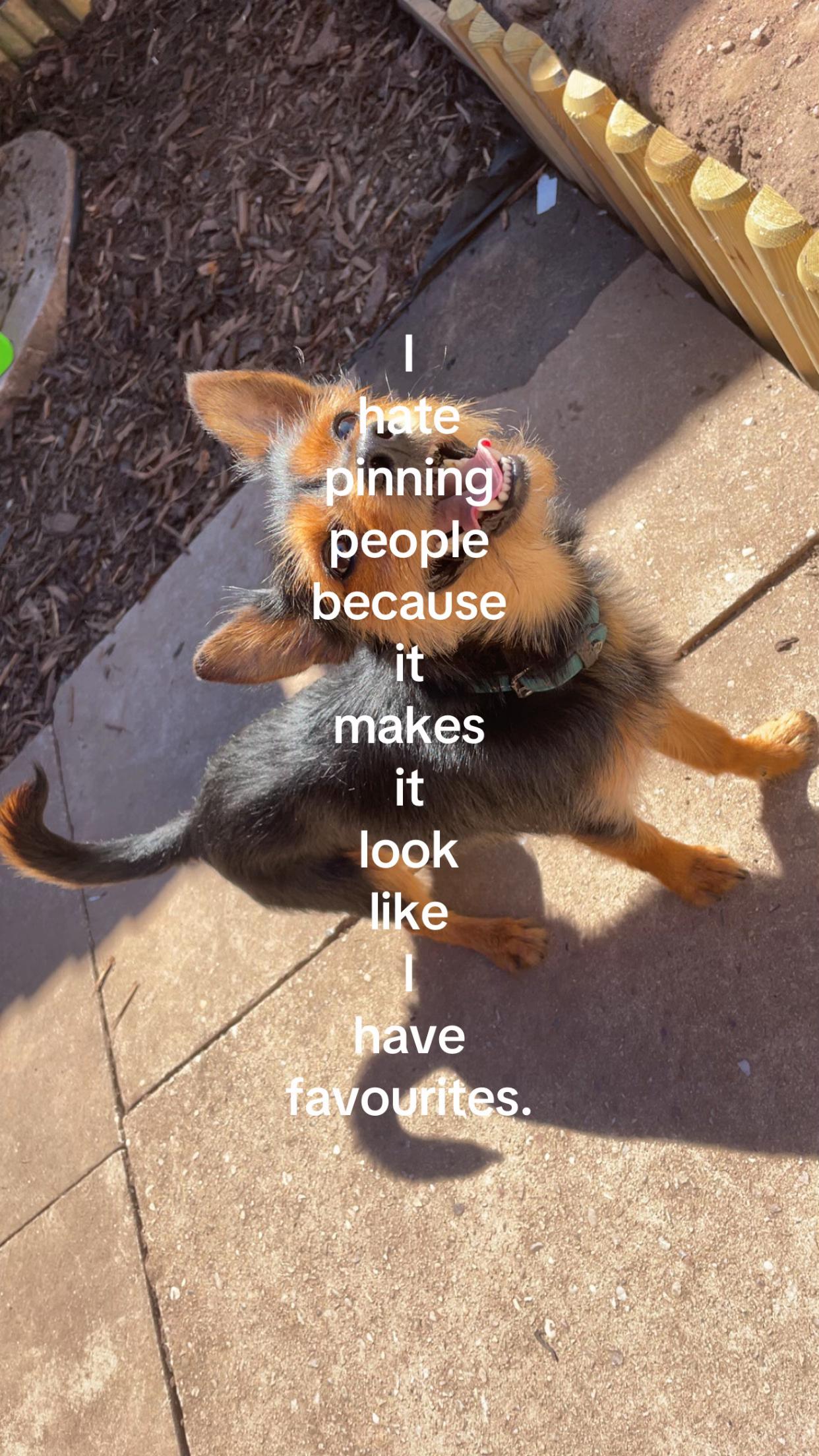 @🤷🏻♀️