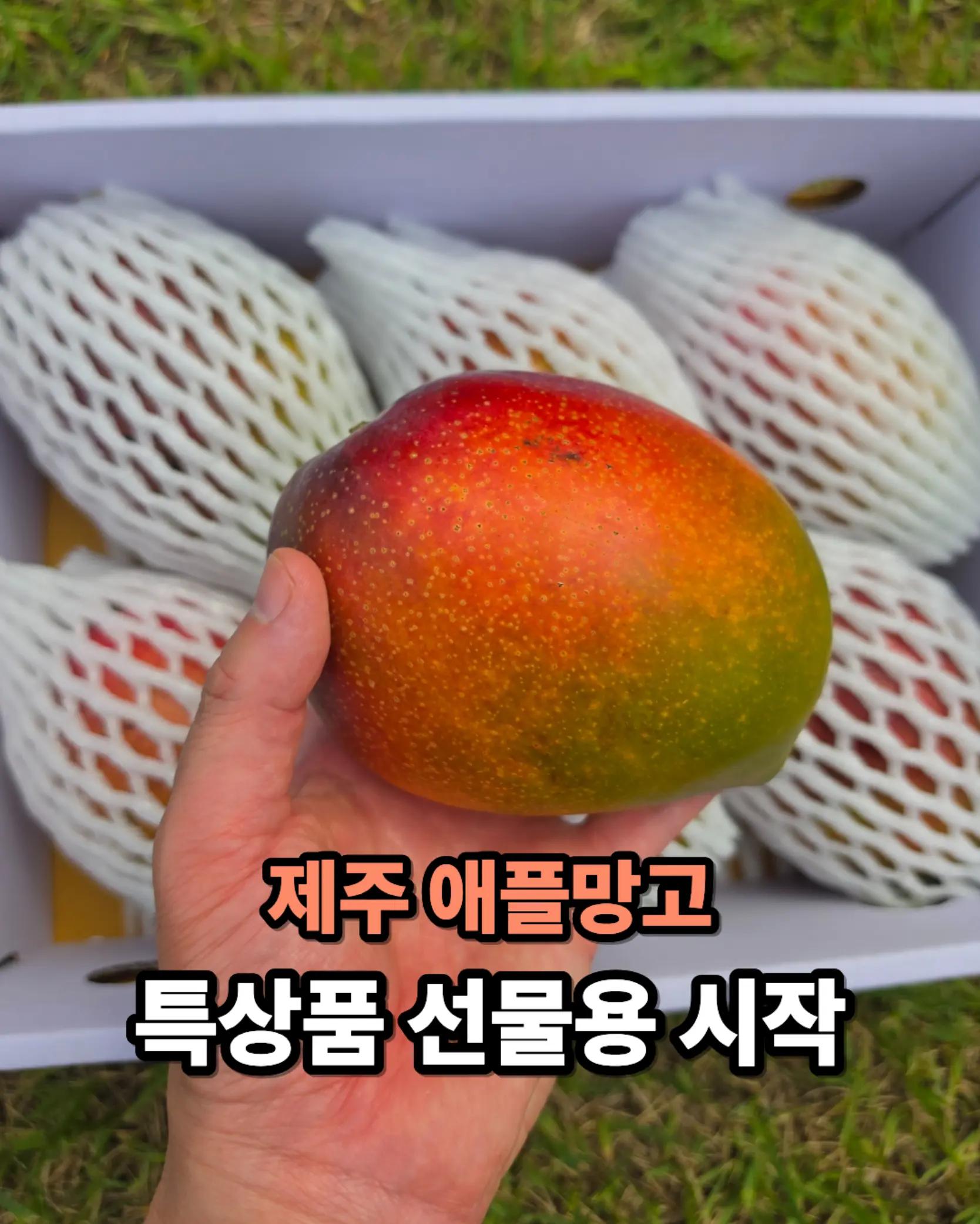 @진심먹거리
