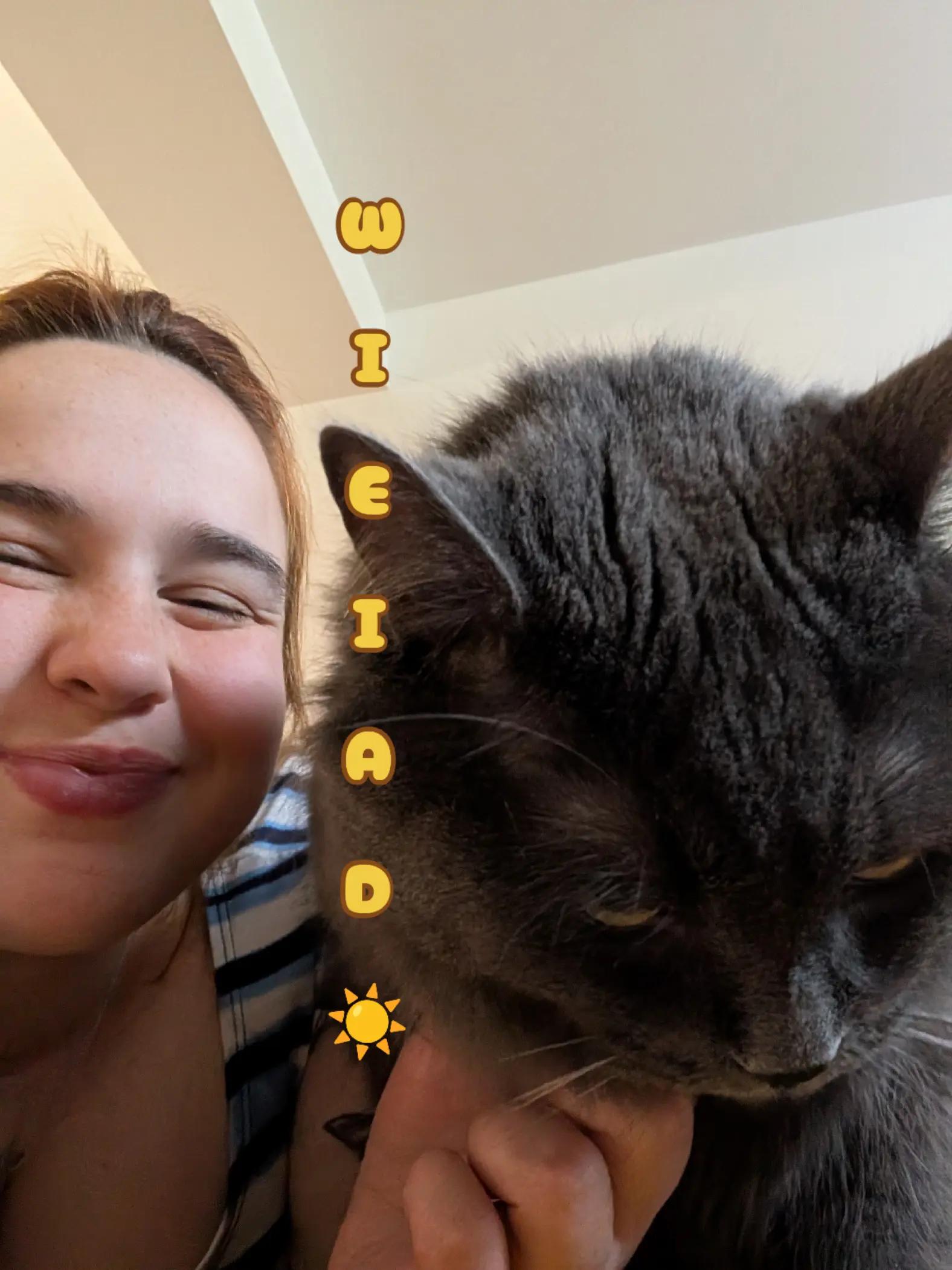 @Maya Imbeault