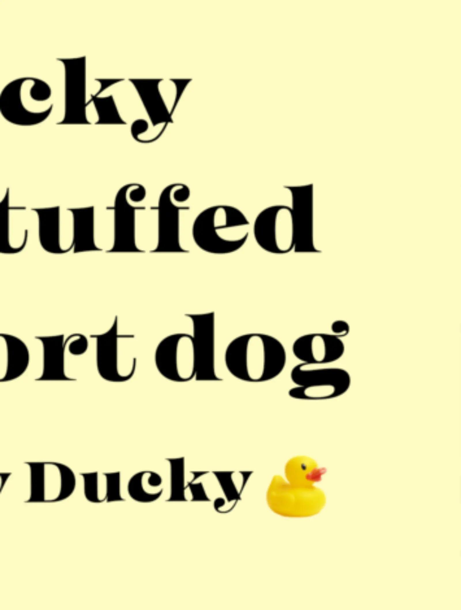 @⭐🐥Lucky Ducky🐥⭐
