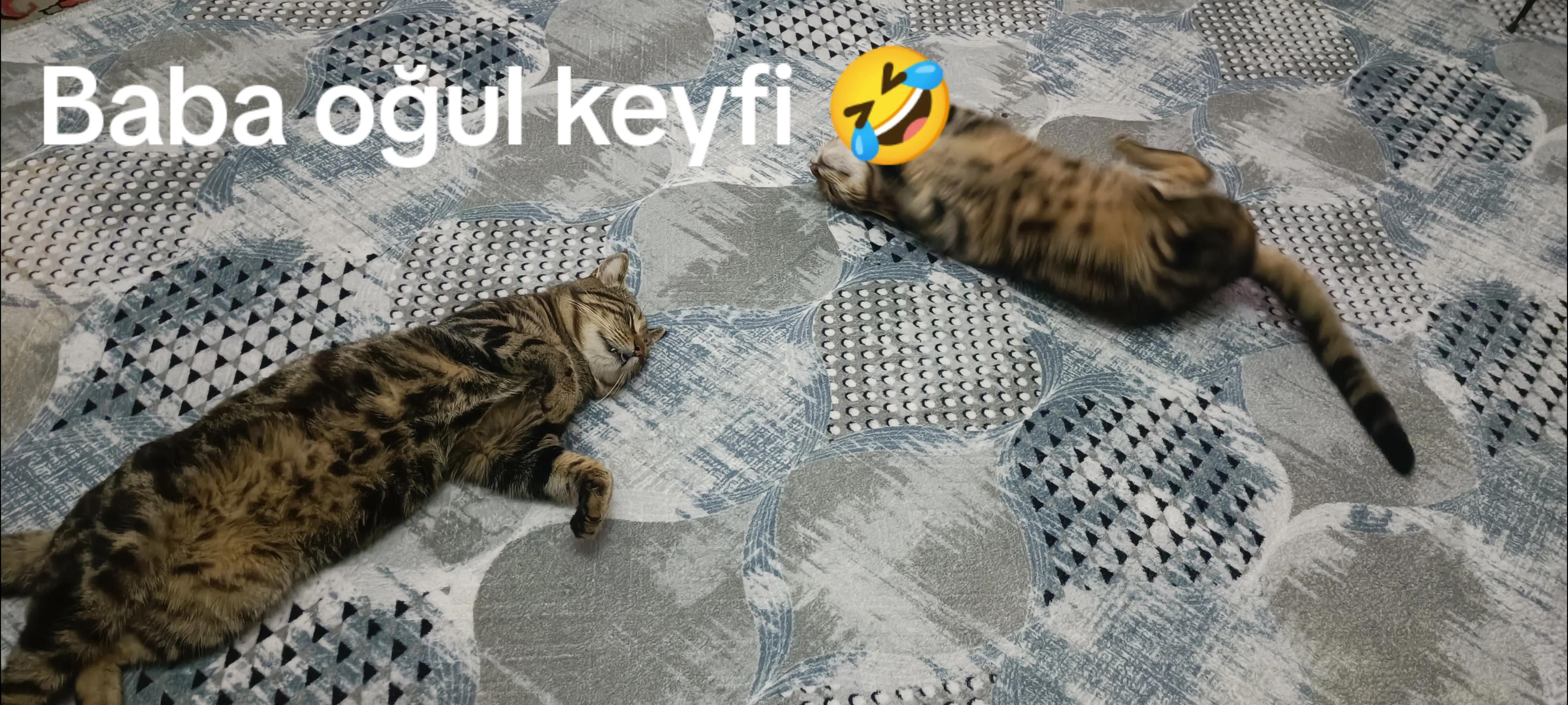 @tiktokdunyasi.07