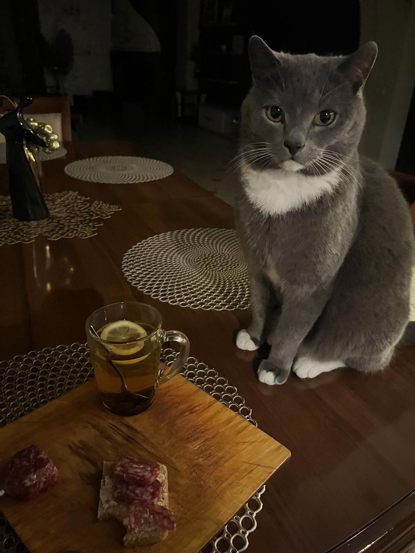 @софакс?