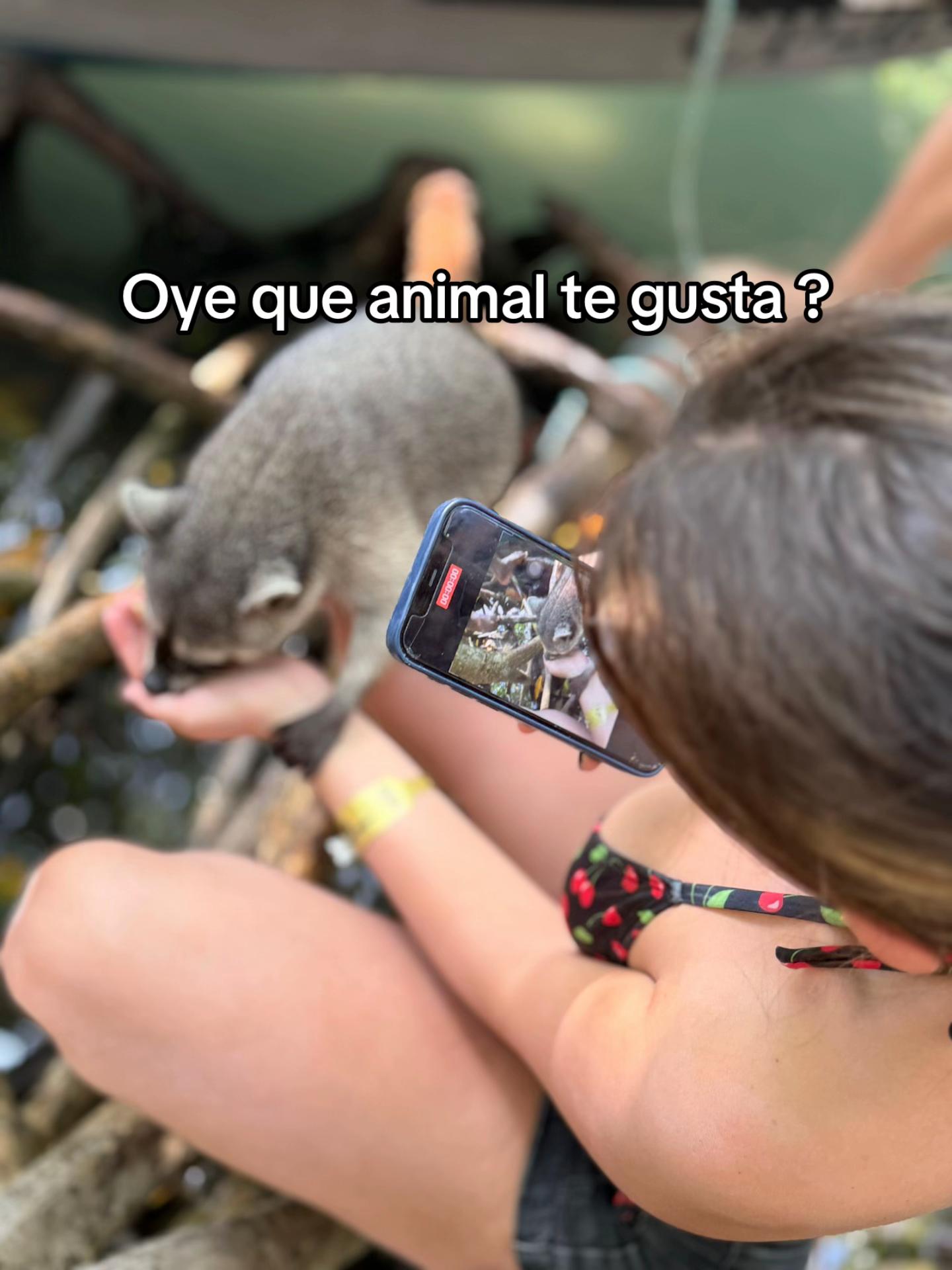 @O.G