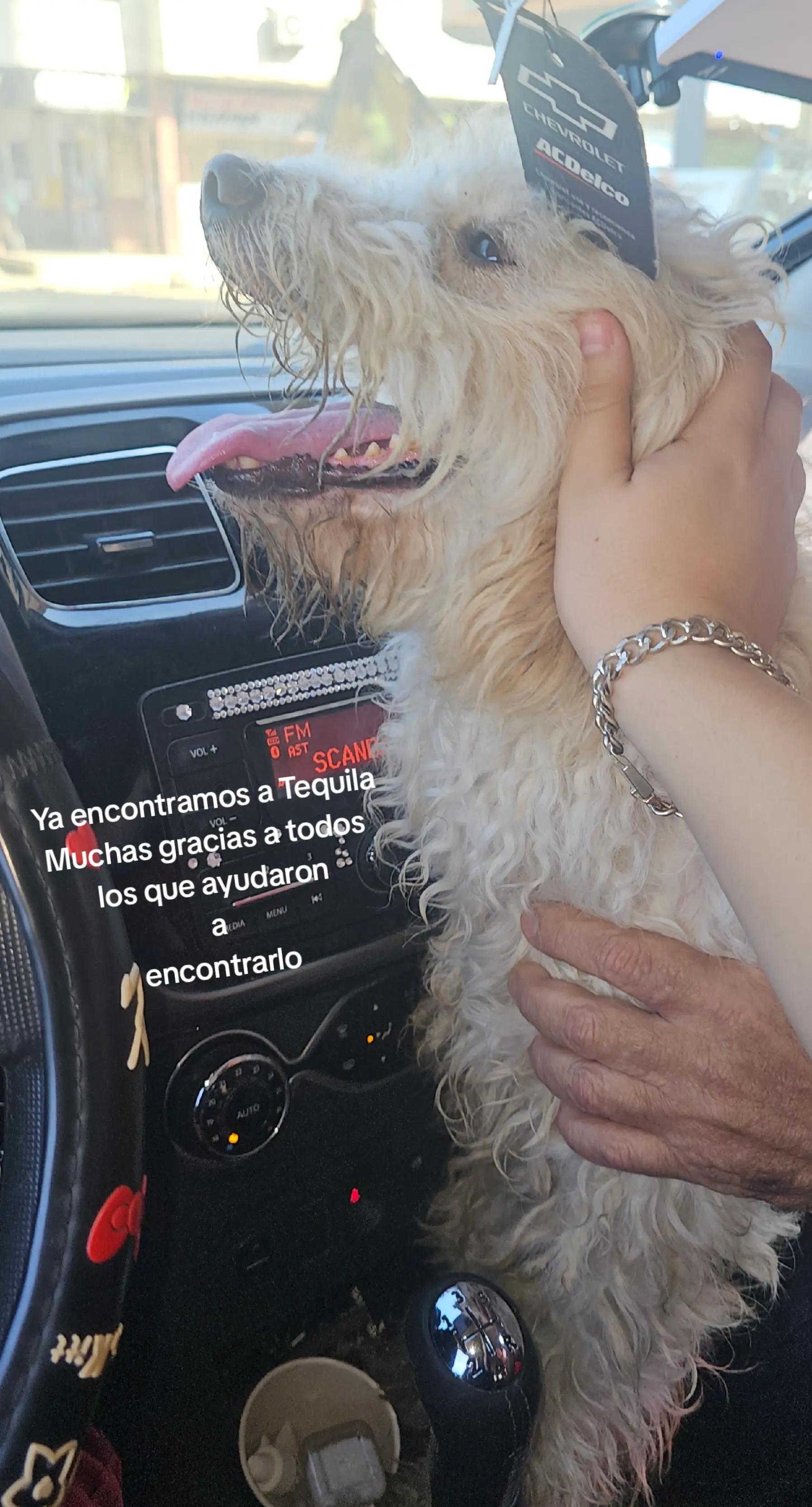 @AGROZAMO - Importadora