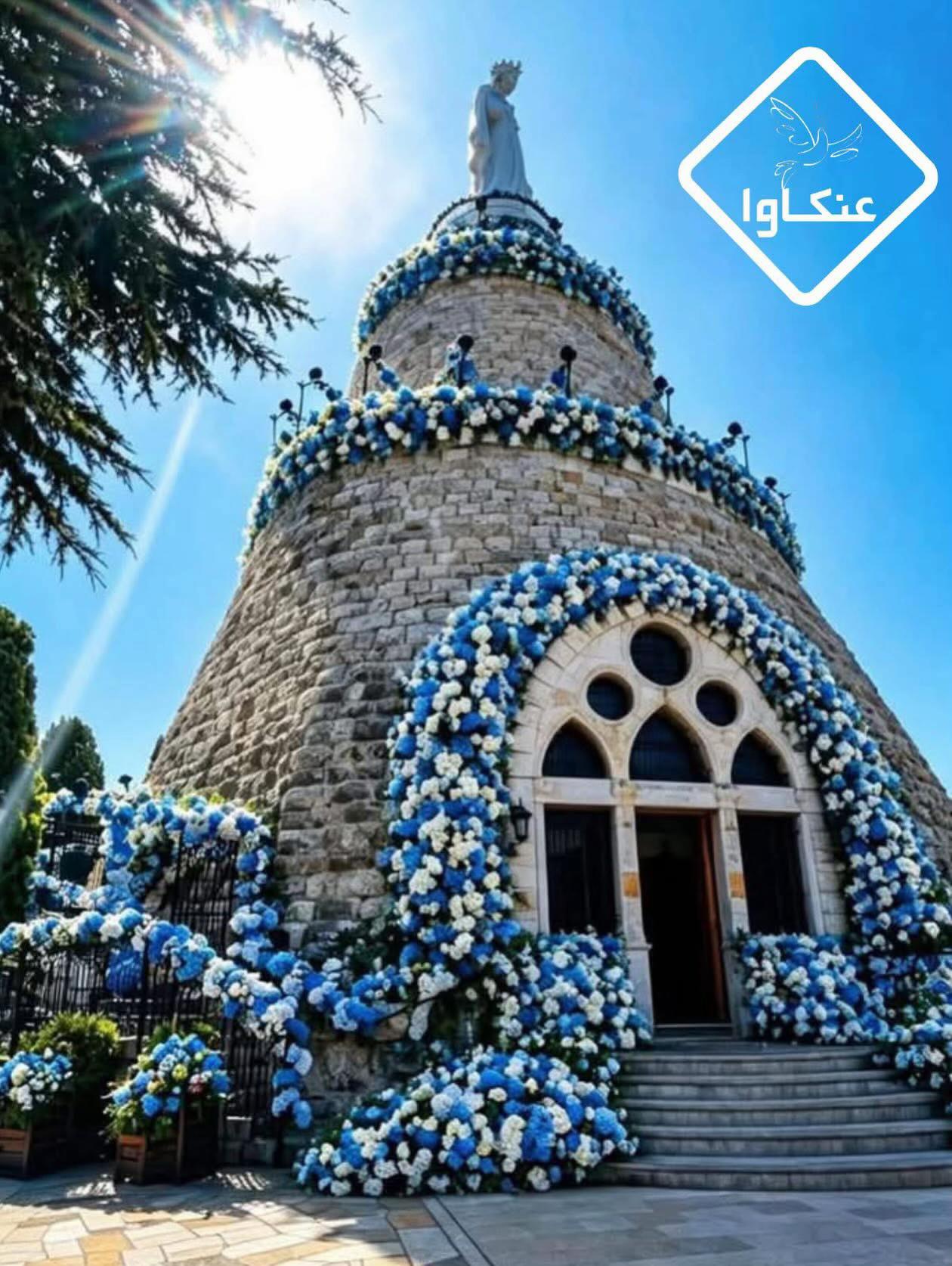 @دينا ب بكندا