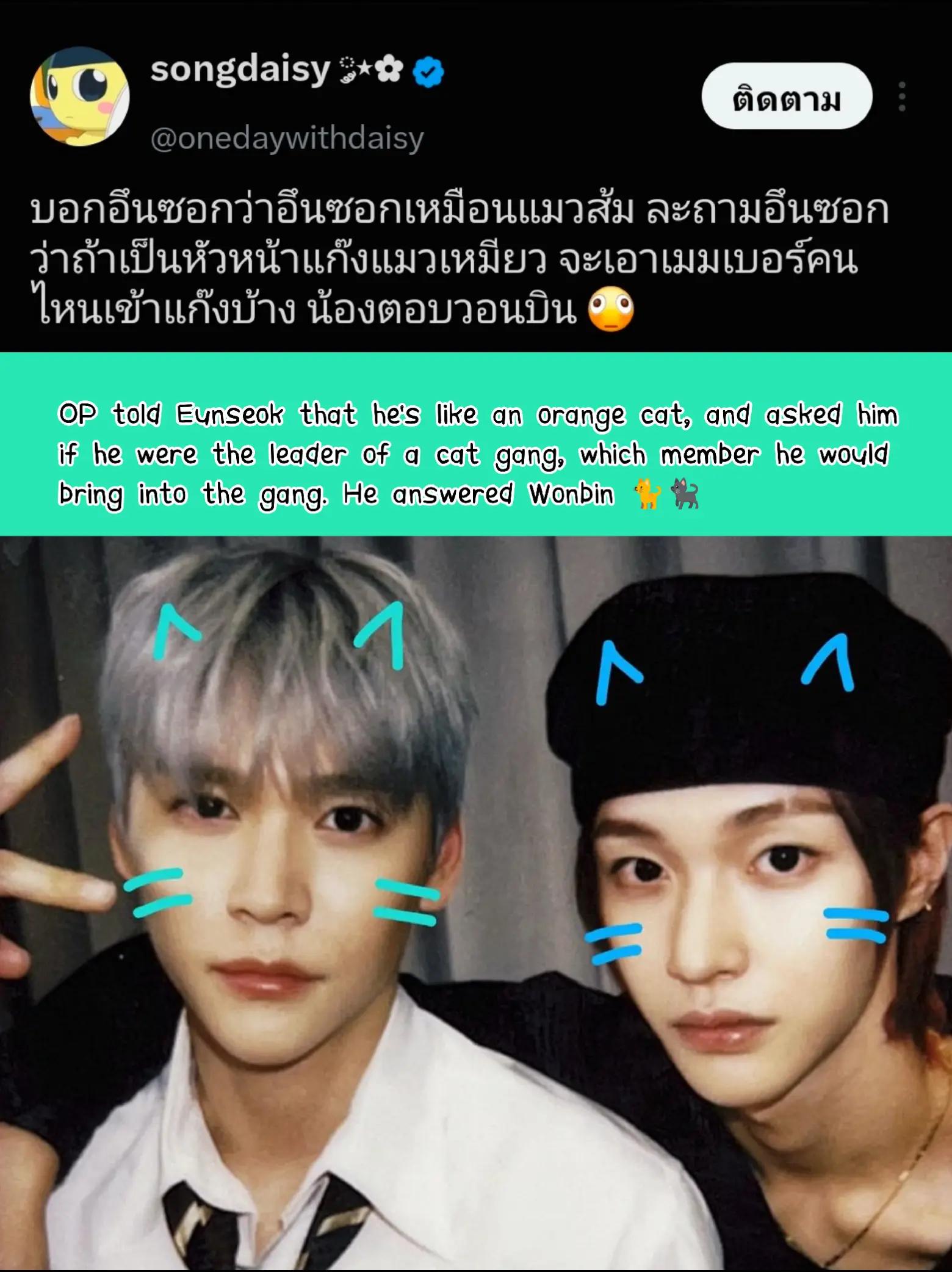 @แฟนน้วบ🎀