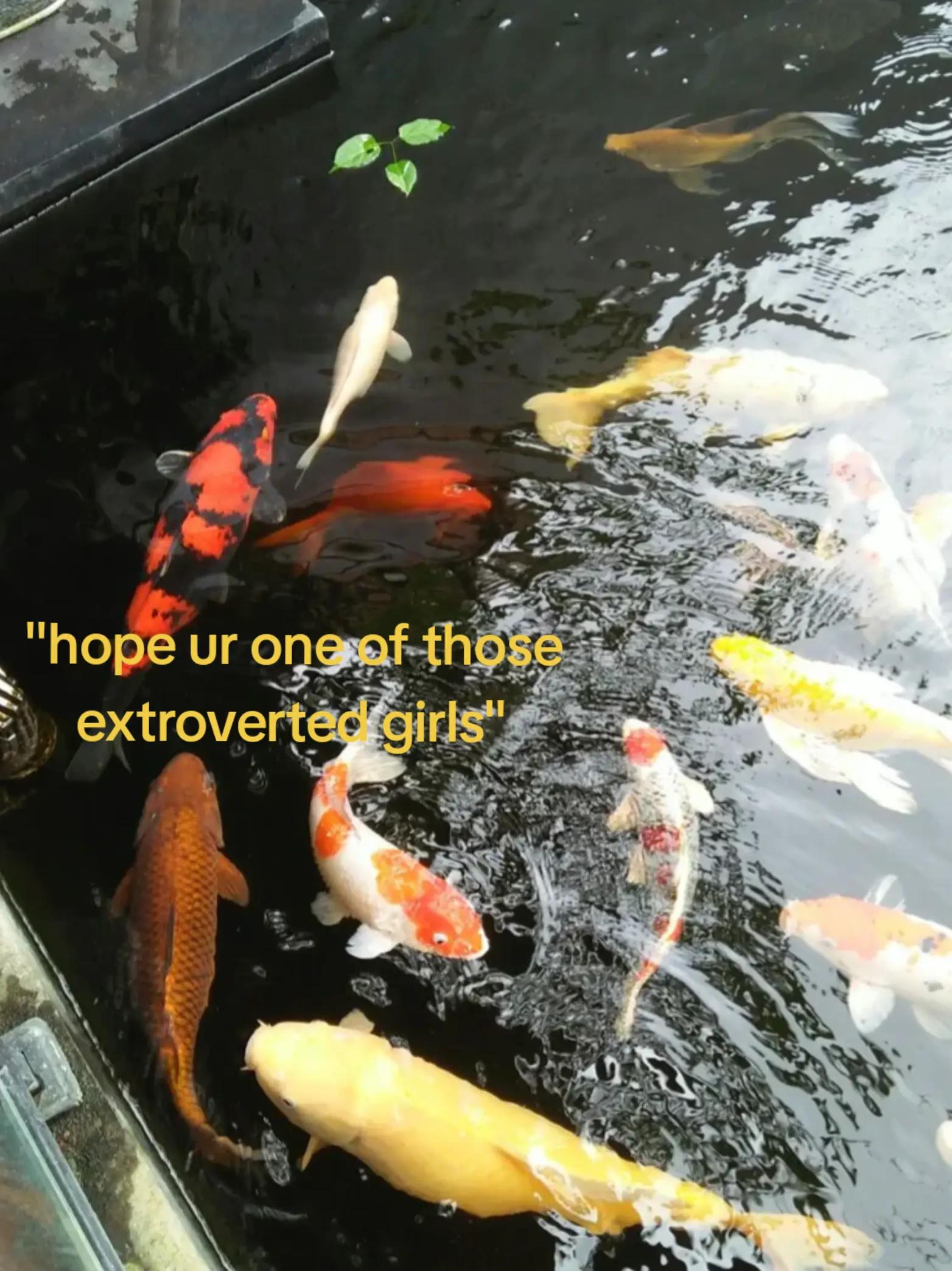 @9ooh1_x24&sup1;⁰⁰⁹
