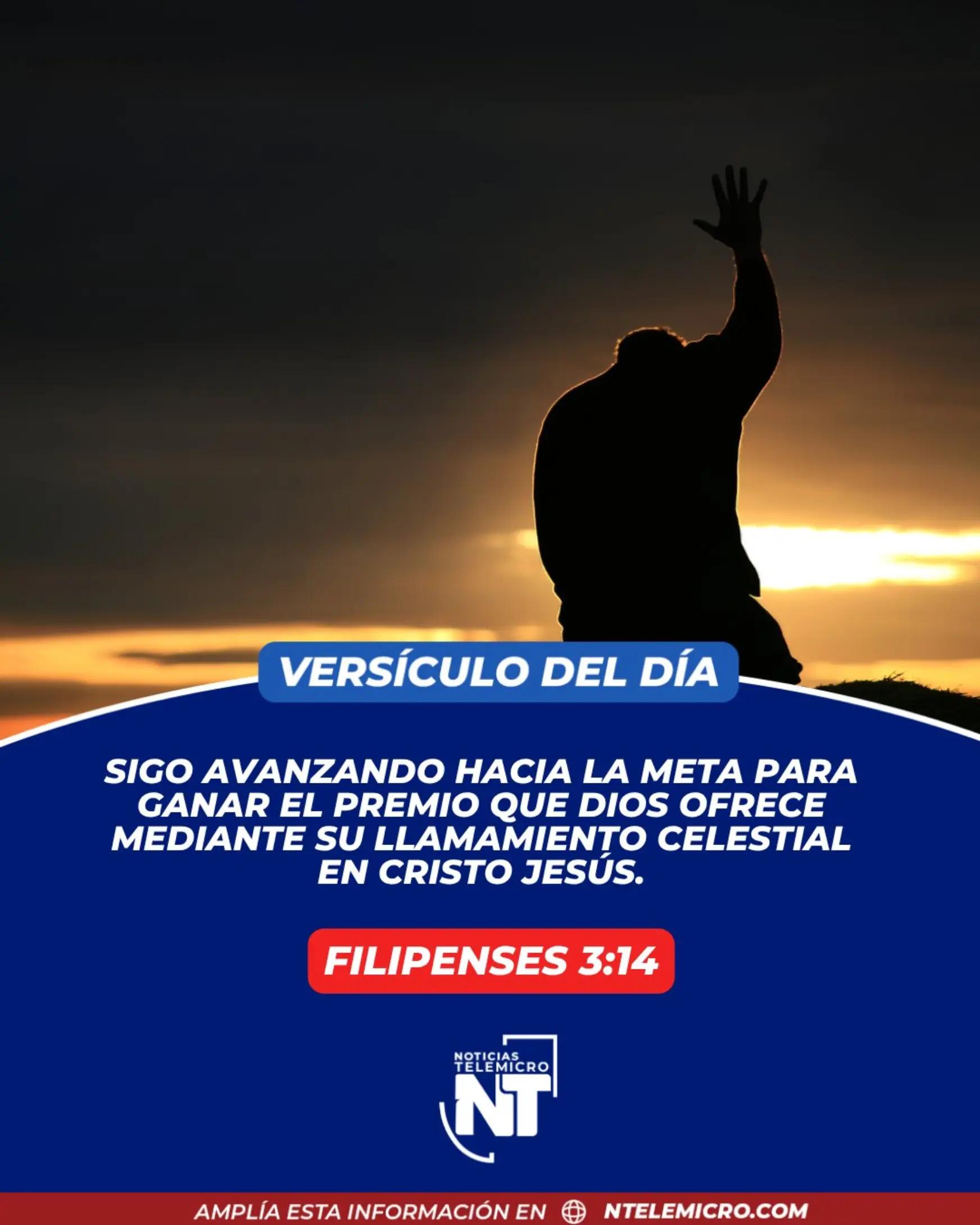 @Miguel Medina oficial
