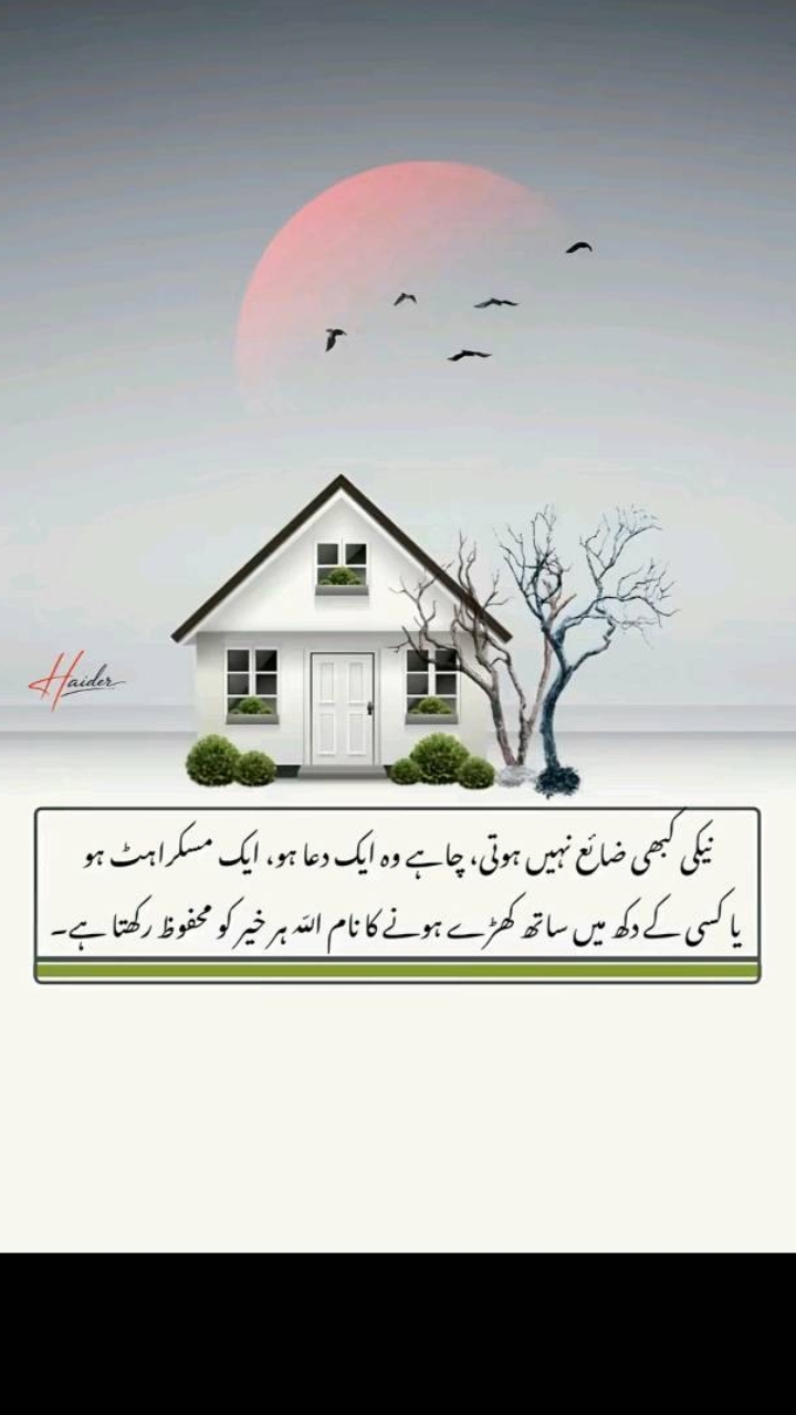 @👑Waqas Biland 👑