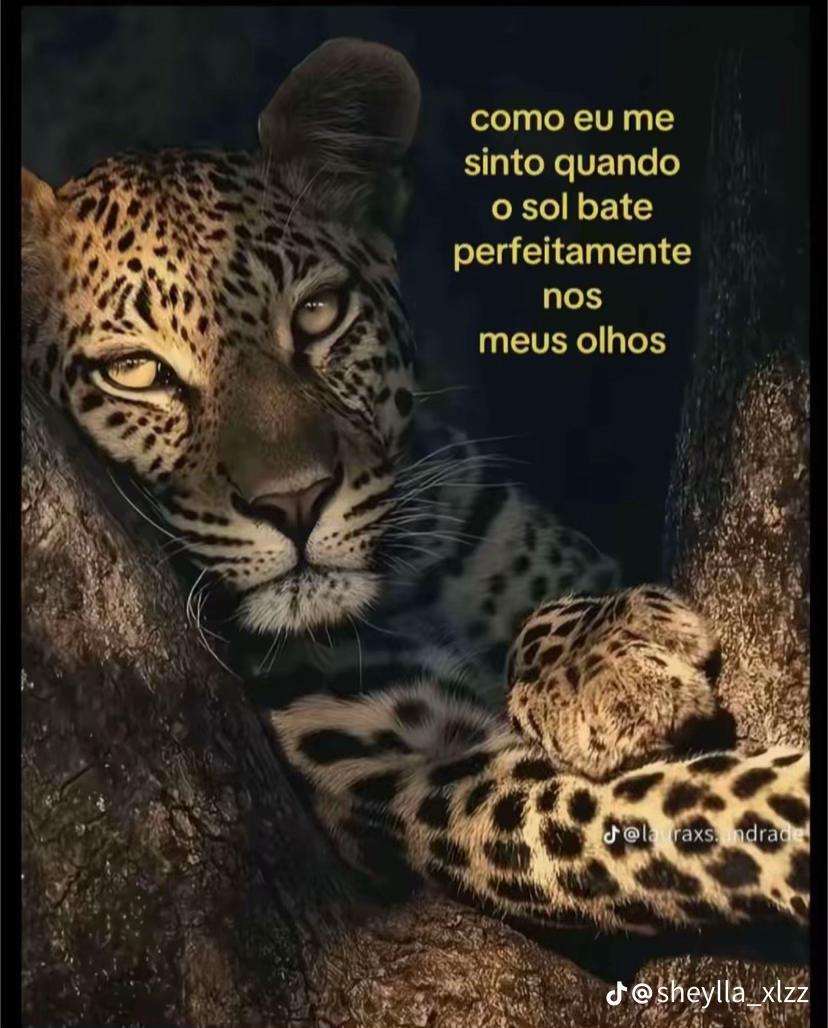 @oliveirazonaa
