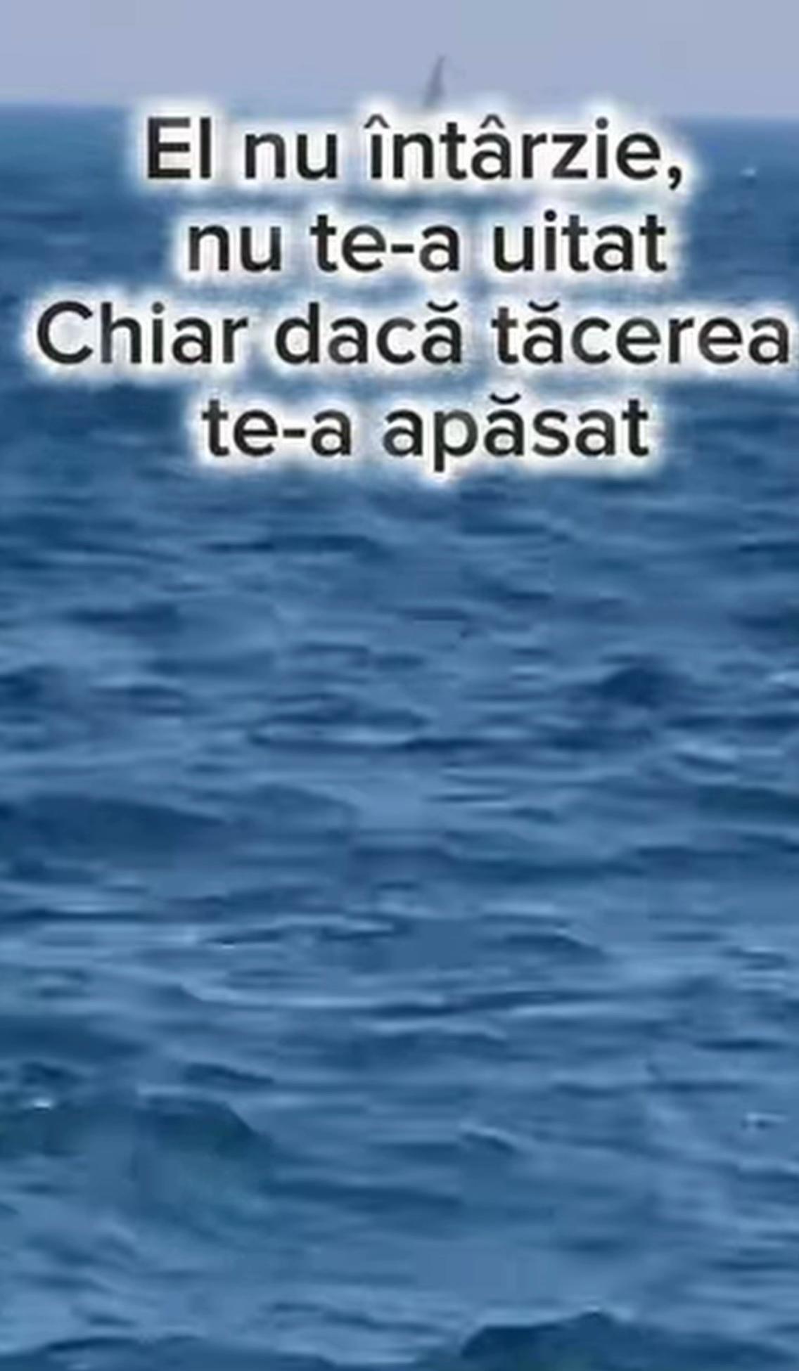 @FLORIN POP