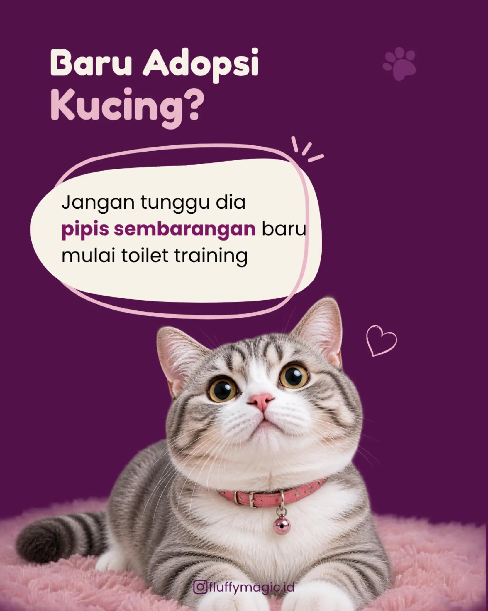@Fluffy Magic