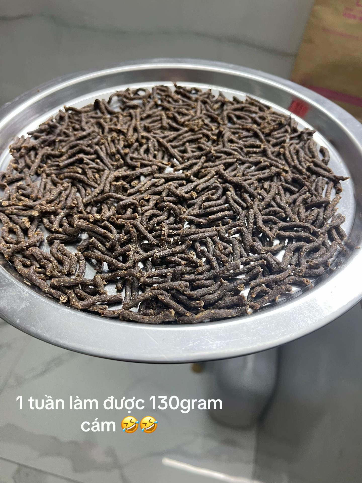 @NobiiChannaFish