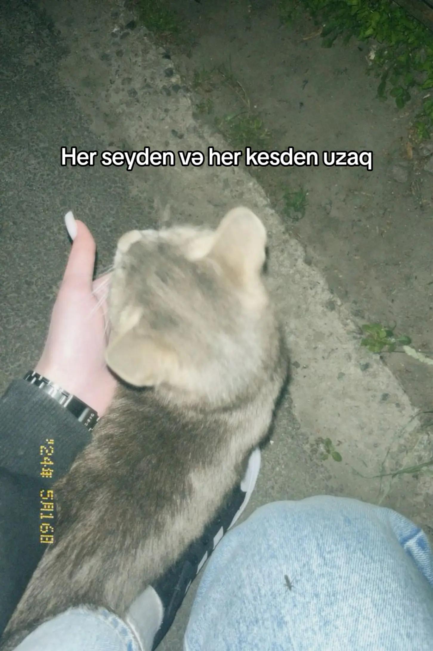 @🐻🤎