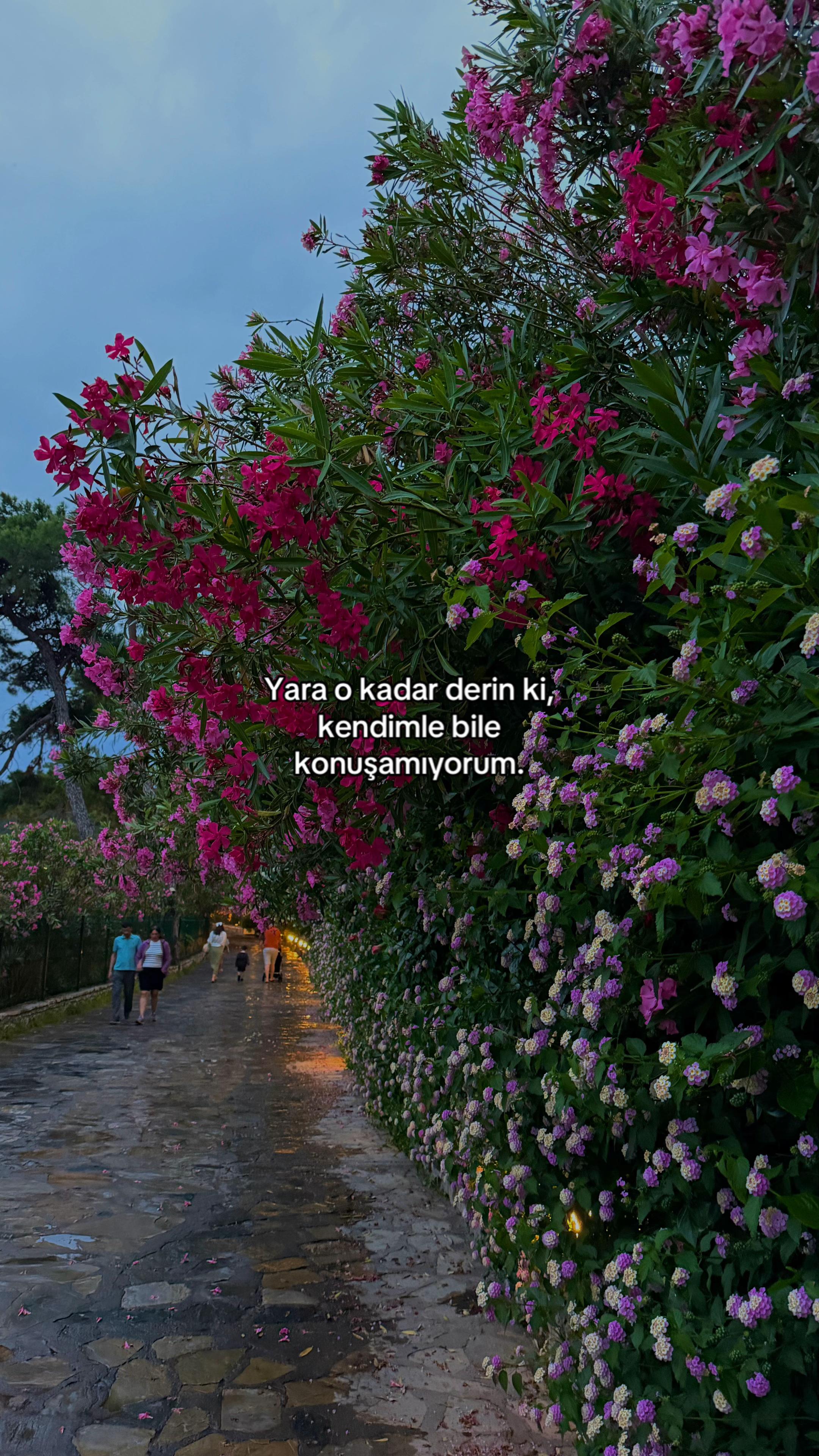 @Elif Kavalcı Şenel