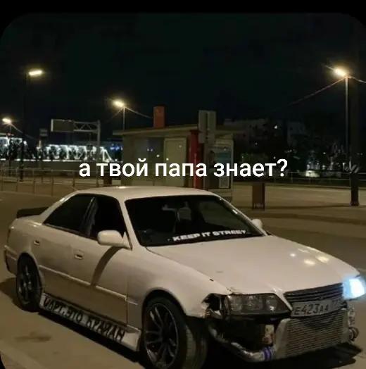 @шмель младший