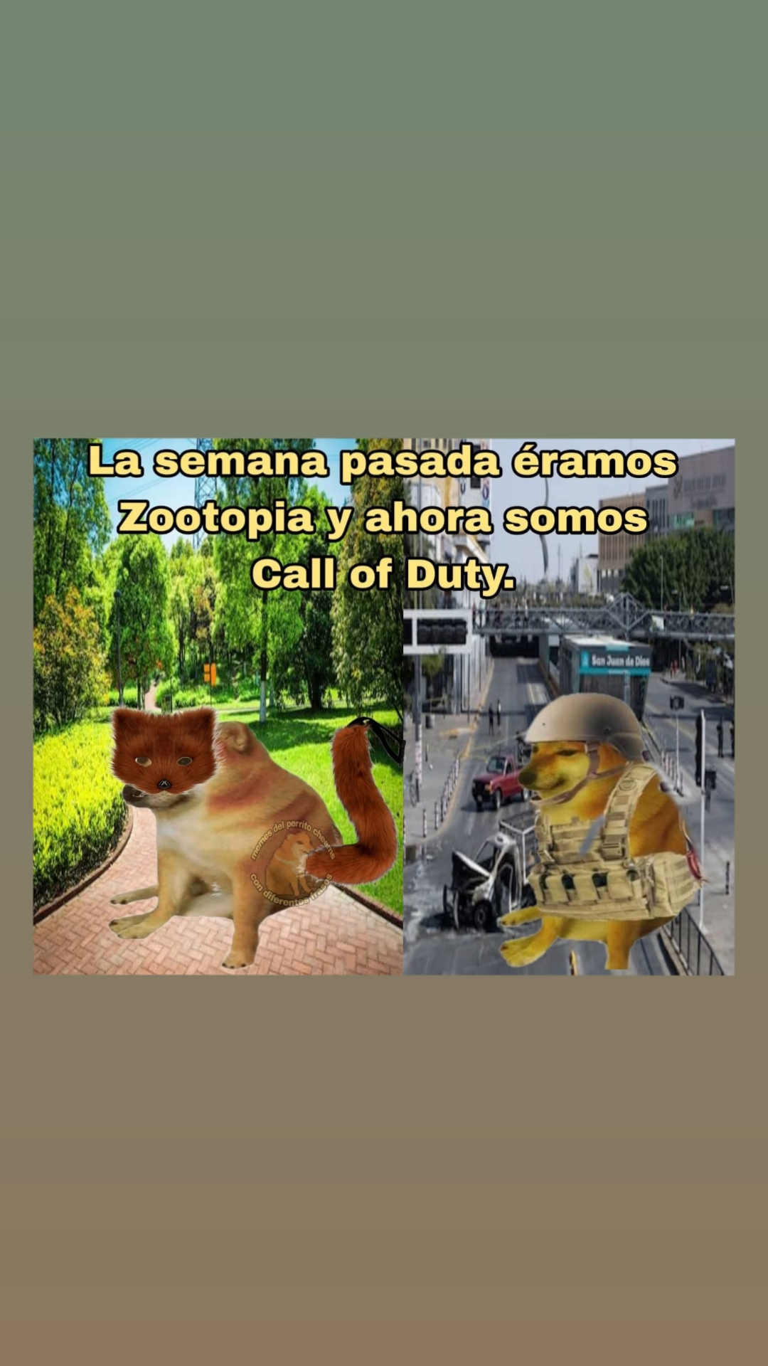 @marflowwwww