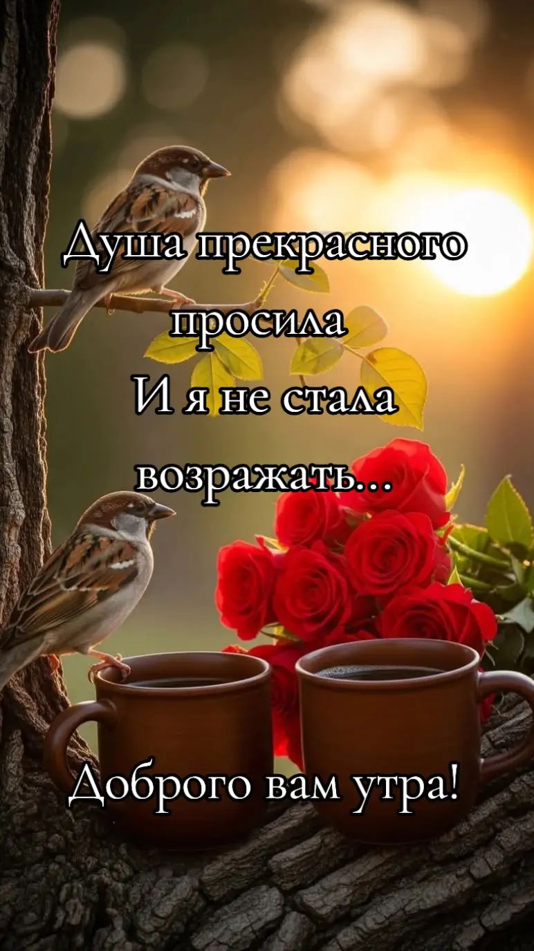 @Elza
