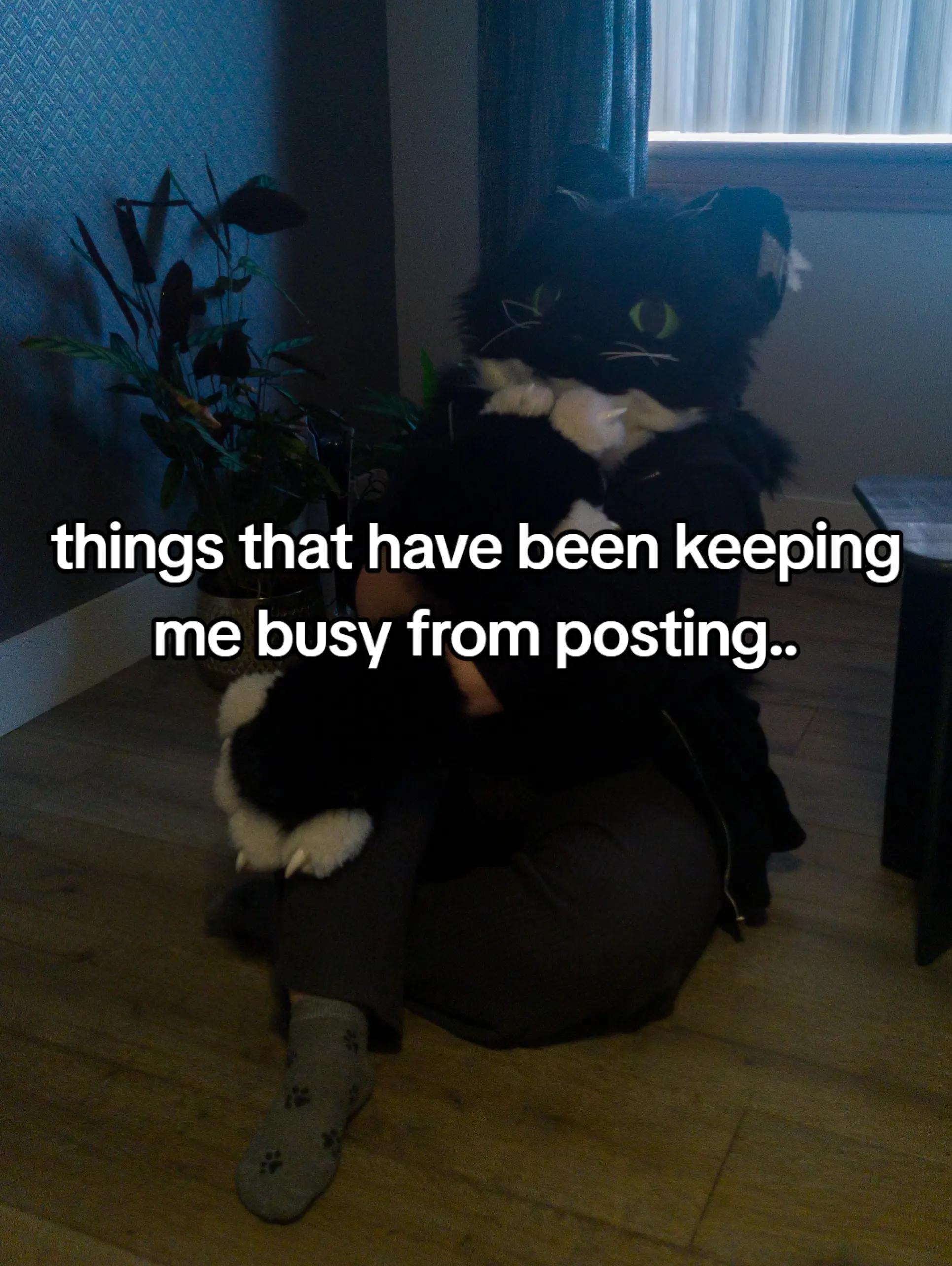 @sypher