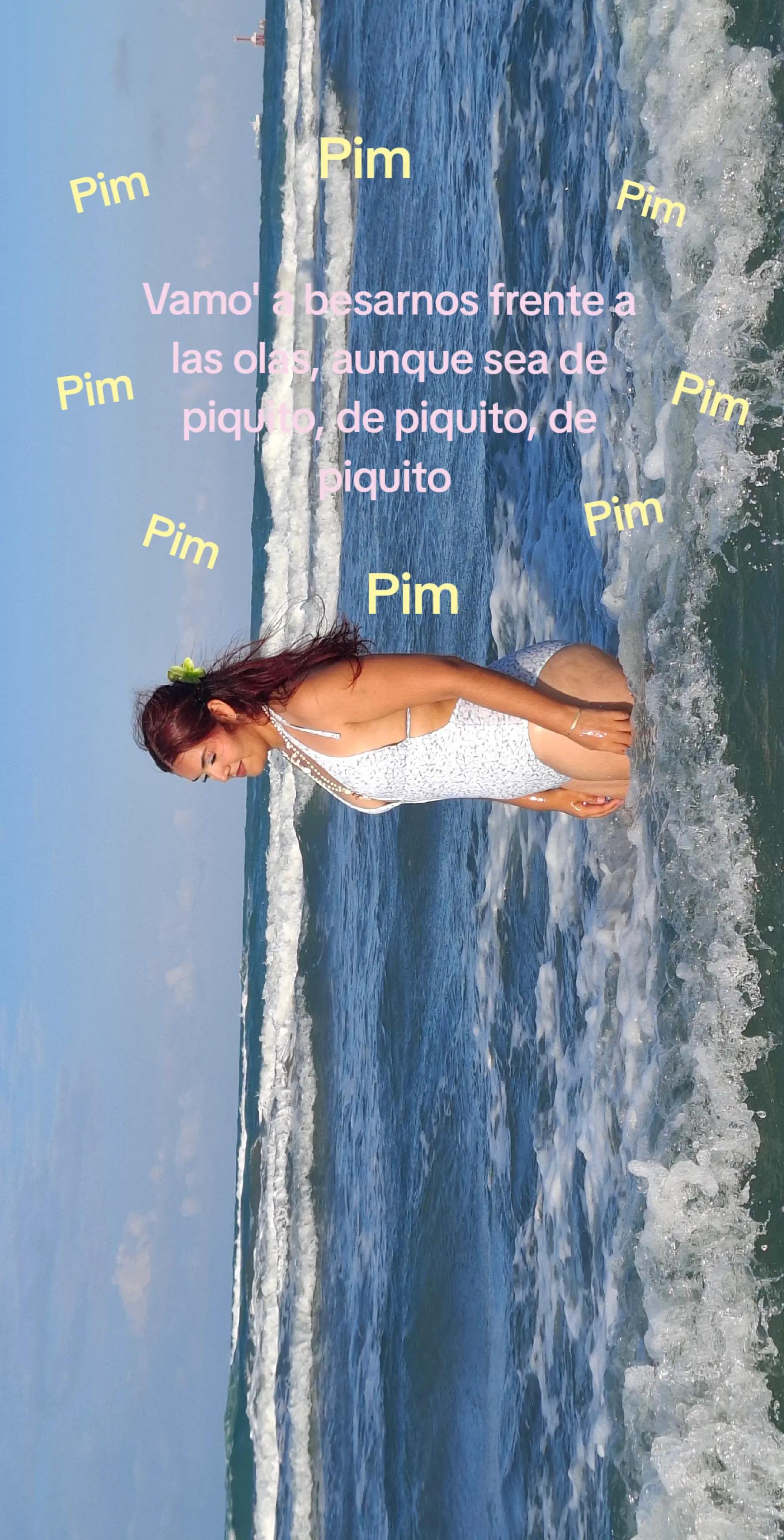 @🌸🐚