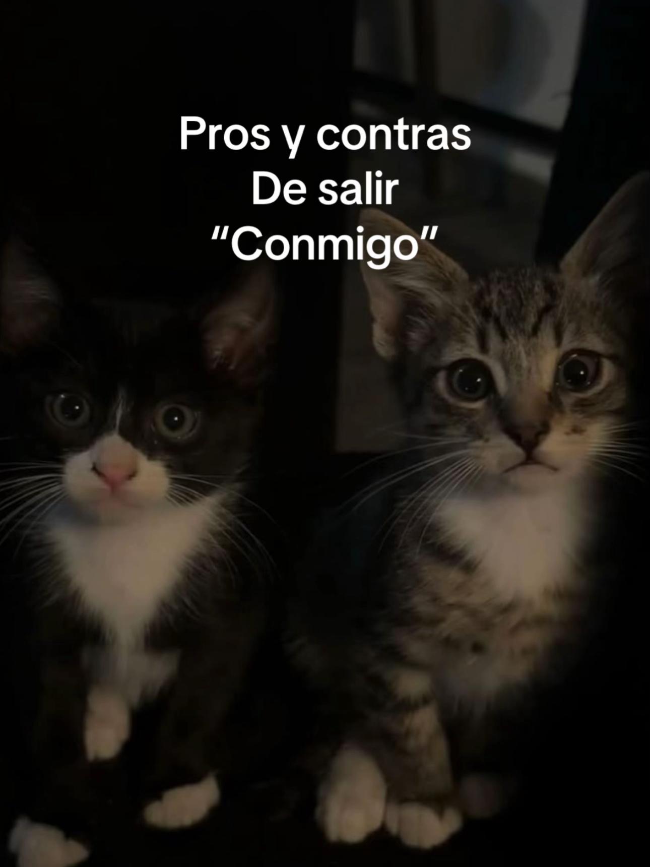 @𝐂𝐮𝐧𝐮𝐦𝐢 𝐌𝐢𝐜𝐡