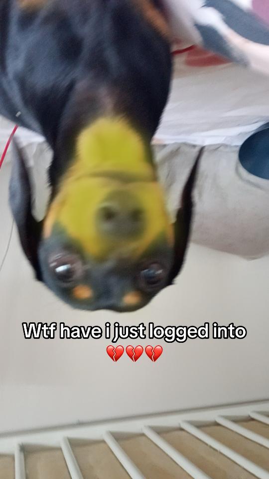 @floptokqueen69